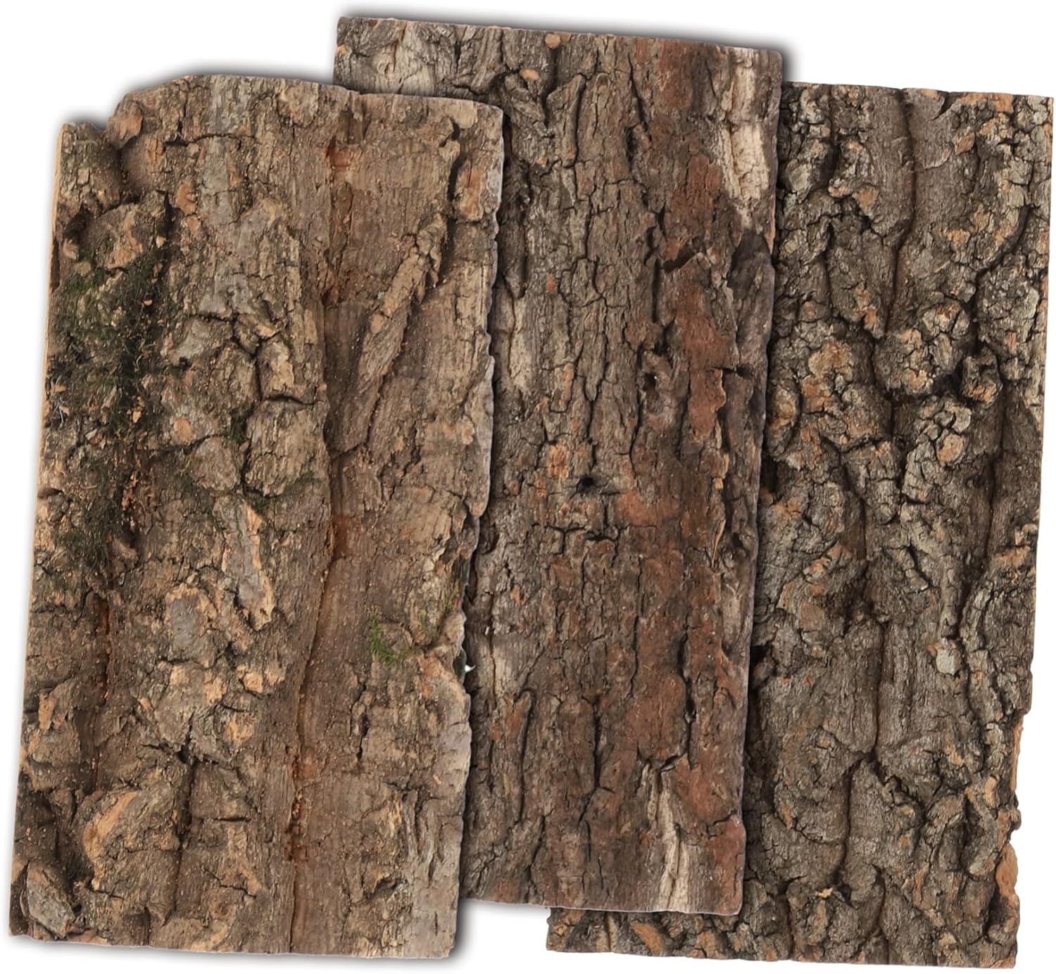 Abaodam 3pcs Fish Tank Landscaping Bark Terrarium Backdrop