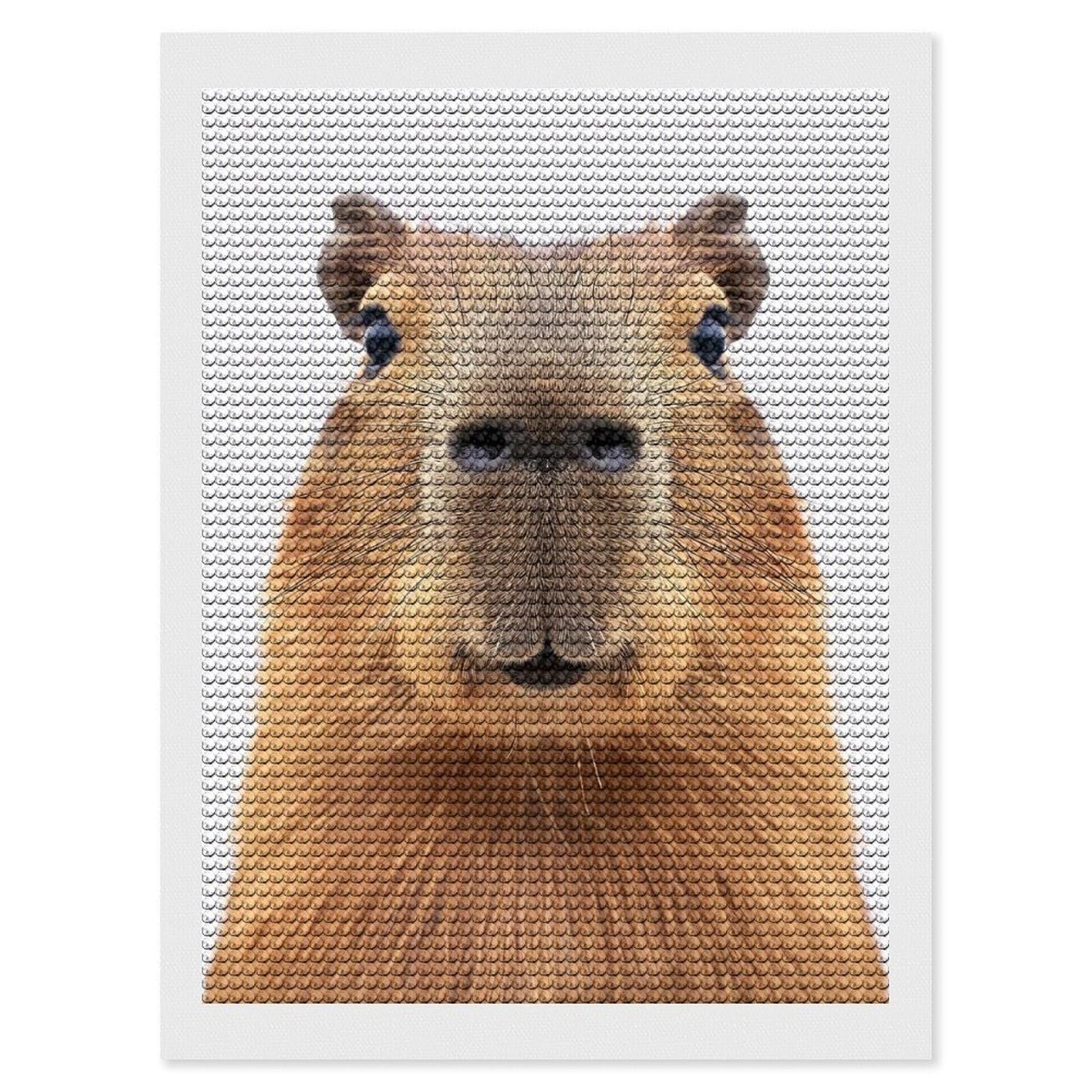 Junmoney Capybara Face Diamond Art Canvas 12"x16", for Adults, Mindful Craft Activity, Modern Decor, Christmas Gift, Full Kit Included