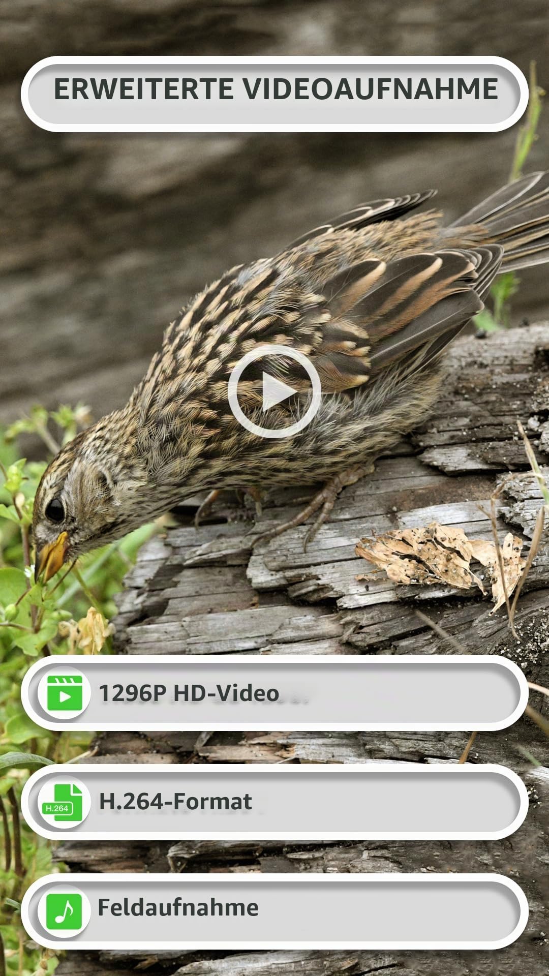 GardePro E8P Wildkamera WLAN und L800D Akku-Set
