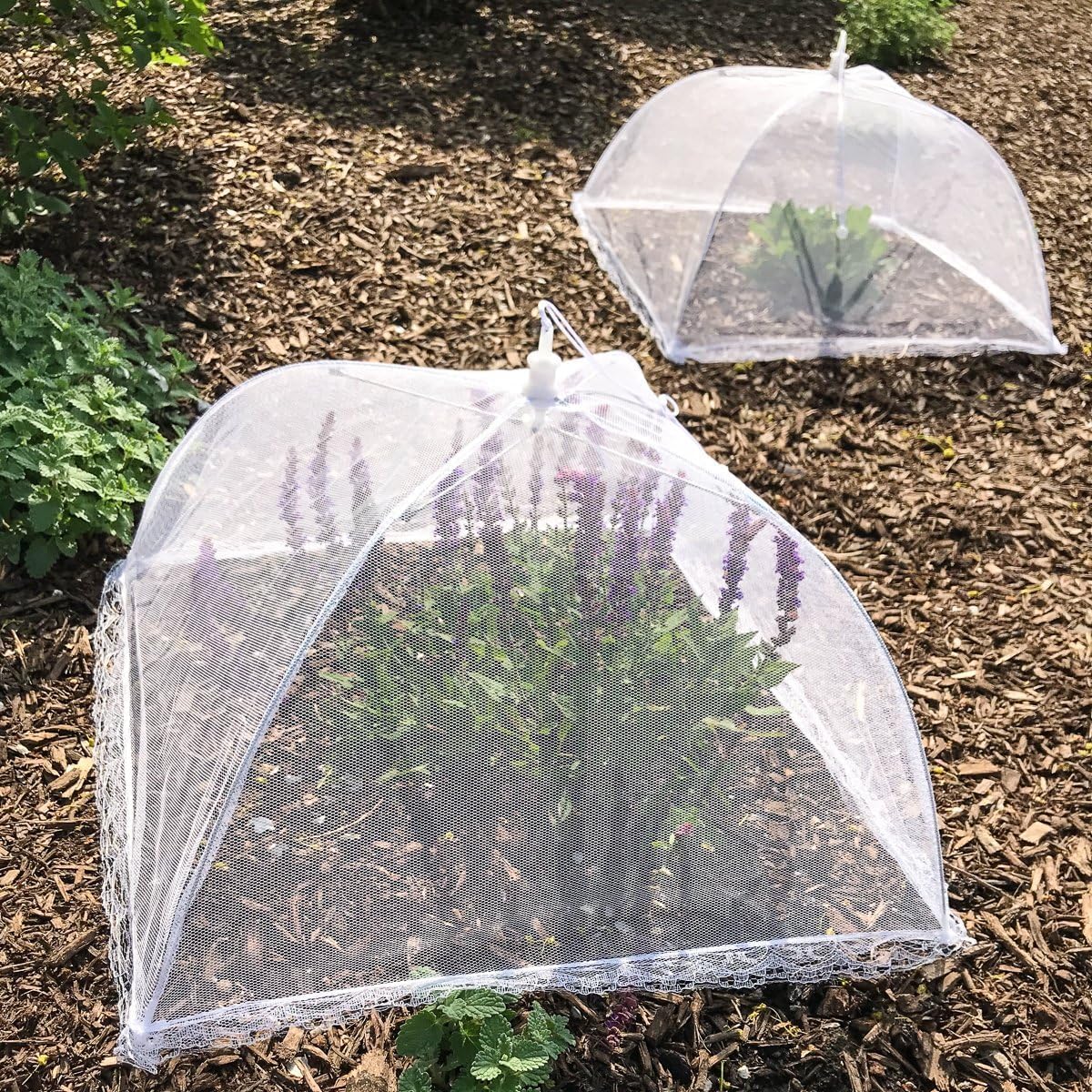 Pop-Up Food Mesh Tents || Collapsible Mesh Food Covers Tent || Umbrella Covers Reusable and Collapsible 17 x 17inches || (Pop-Up Food Mesh Tents -2) 3