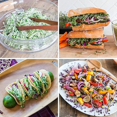 Miniatura 7 de Recambio de verduras Powerhouse orgánicas y sin OMG para Hamama Home Microgreens Kit de cultivo  Cultiva microverduras frescas en interiores cada