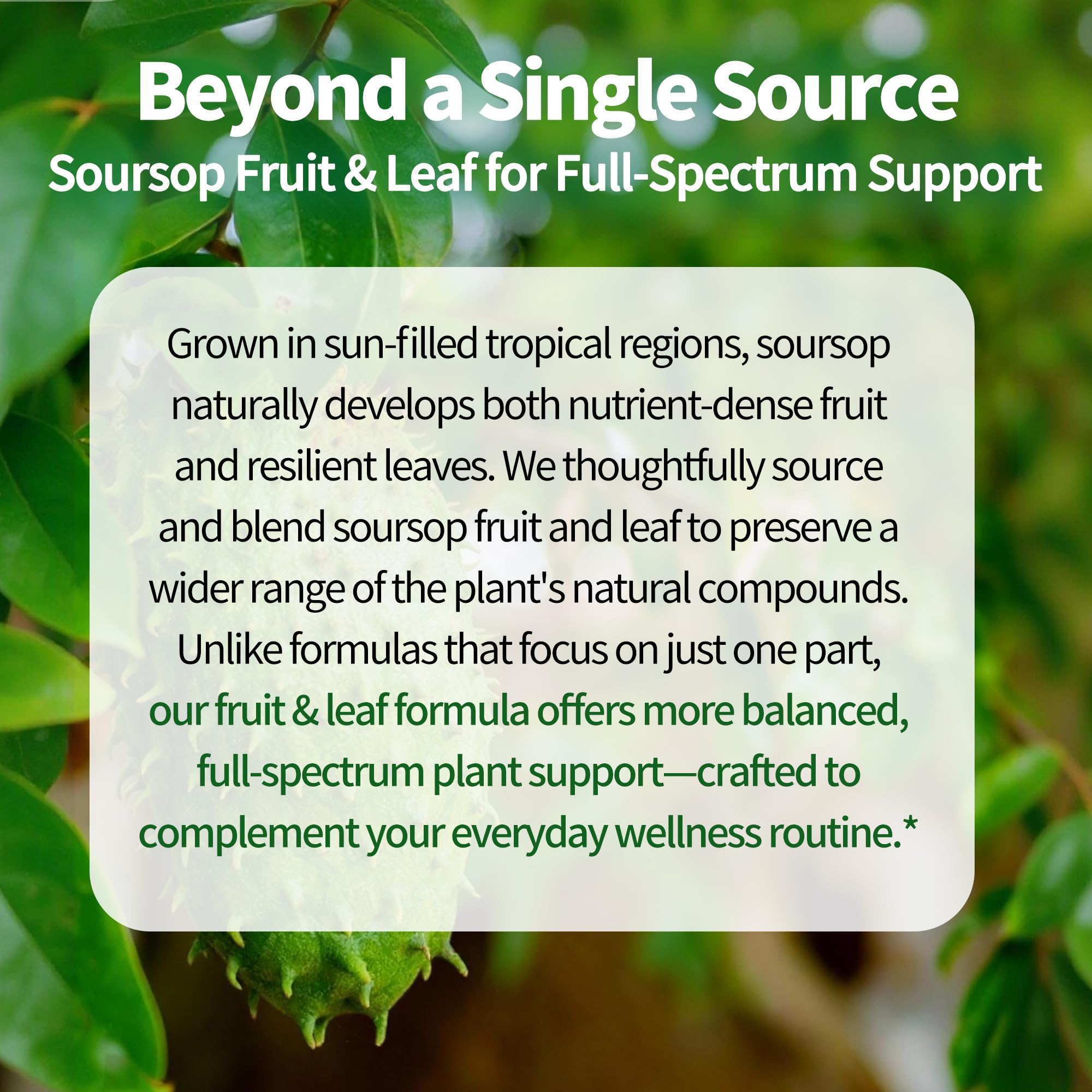 12-in-1 Soursop Bitters Liquid Drops with Sea Moss, Moringa, Turmeric, Echinacea & Ashwagandha | Herbal Tonic | Digestive Wellness & Immune Support | 4 Fl Oz — Amazon image 8