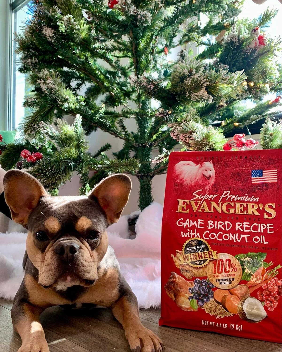 Evanger's Super Gamebird Recipe with Coconut Oil Dry Food for Dogs – 33 lbs – Pea & Chicken Free, Hypoallergenic, Turmeric & Kale Added – Sensitive Stomach Formula for All Life Stages