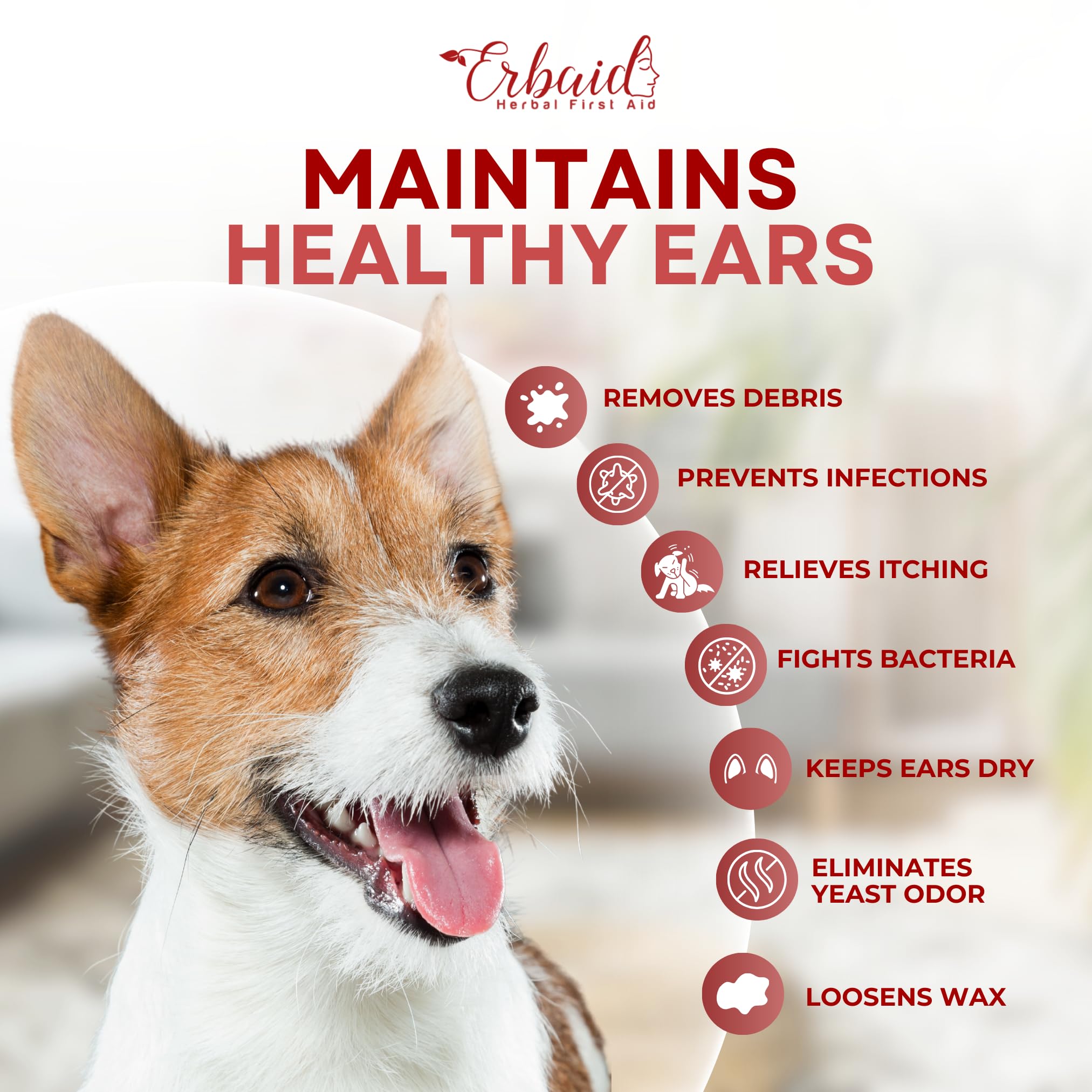Dog Ear Cleaner – All Natural Ear Drops for Dogs Ear Infection – Eliminates Yeast Odor, Loosens Wax, Prevents Infections, Relieves Itching – Safe, Gentle, Effective Itchy Ear Relief, Made in USA - image 3