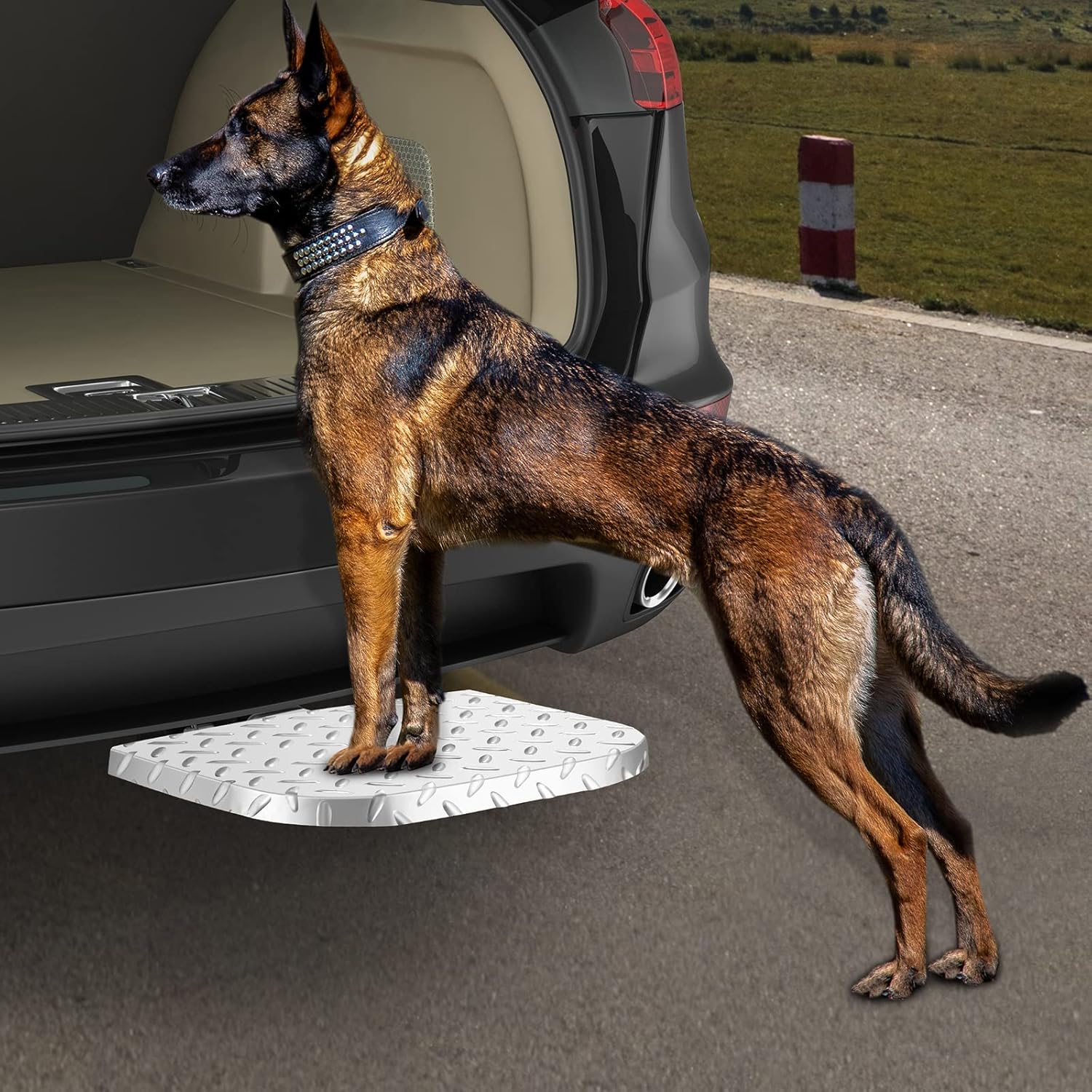 DACK Stainless Steel Dog Car Hitch Ramps Steps for up to