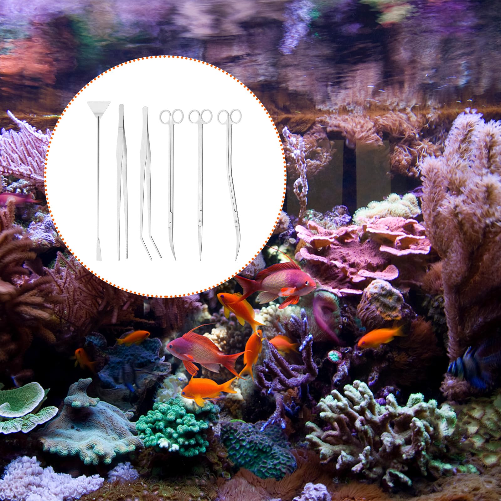 6 PCS Kit de herramientas de acuario Acero Inoxidable Acuario Tanque de Agua Planta Pinzas Tijeras Plantas Acuáticas Pinzas Tijeras Espátula Juego de Herramientas de Limpieza