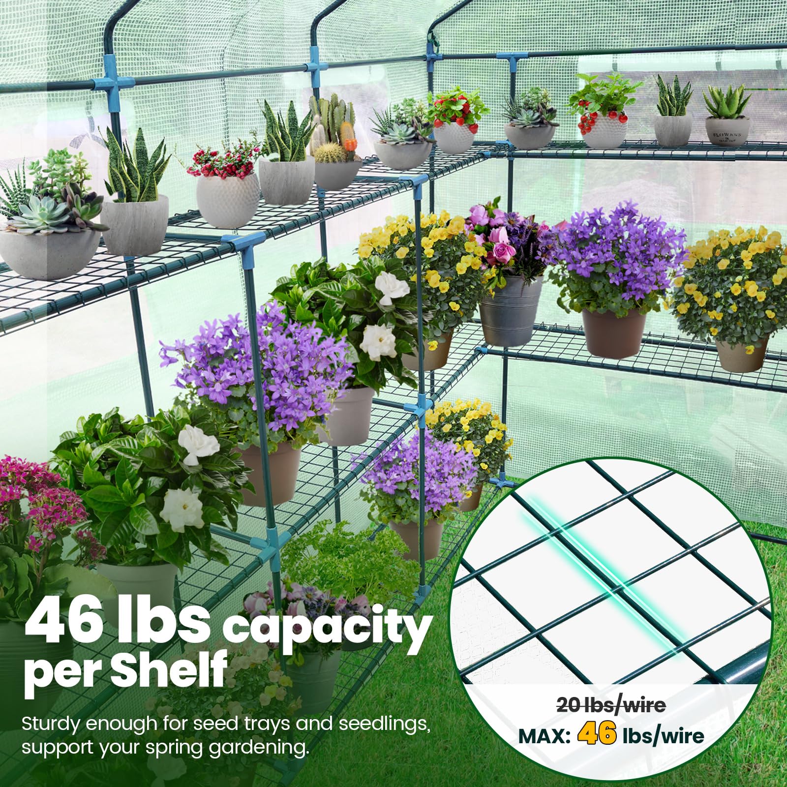 Amazon.com : KING BIRD Premium Greenhouse for Outdoors, 84 x