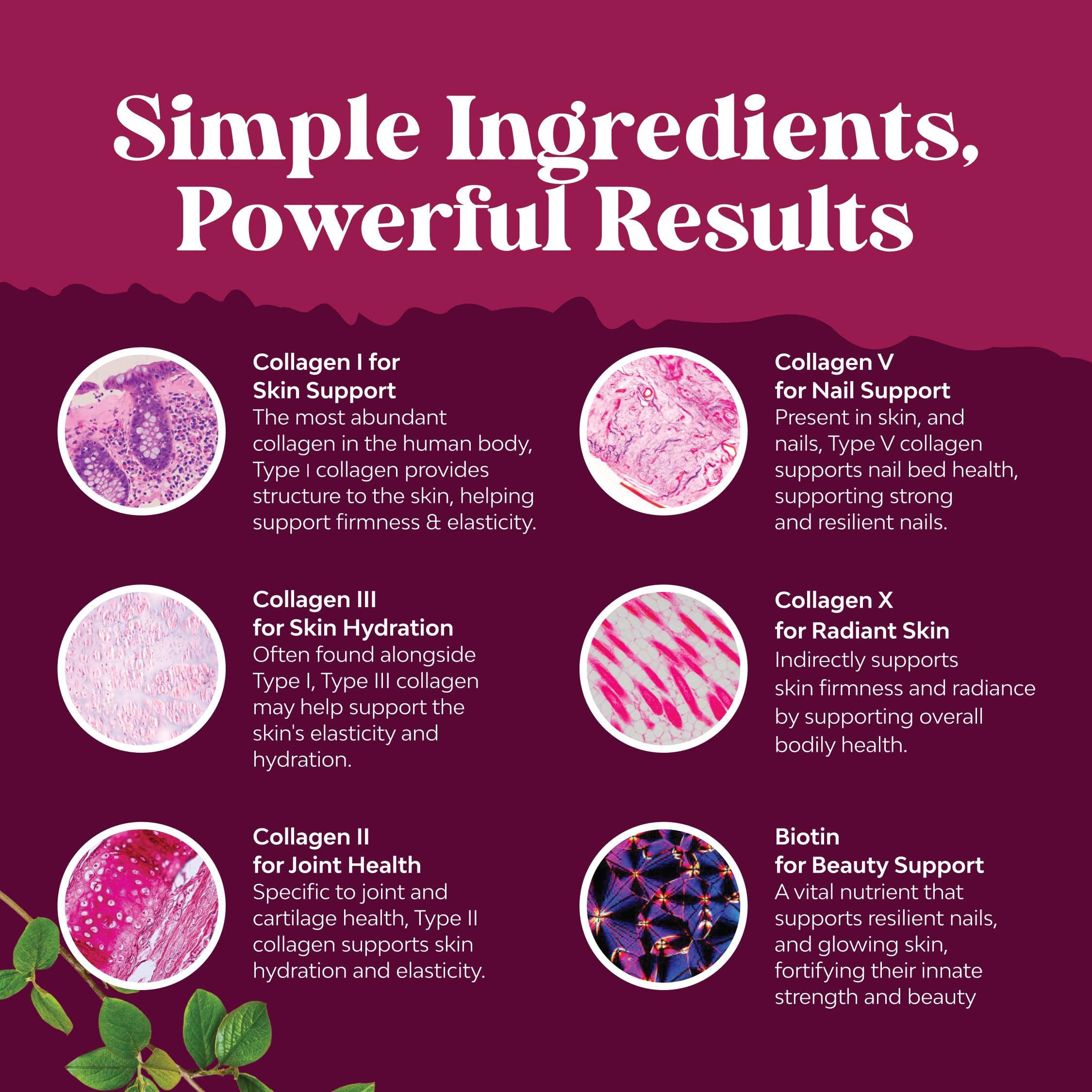 Advanced Multi Collagen Complex with Biotin - Types 1 2 3 5 & X - 90 Ct — Amazon image 3