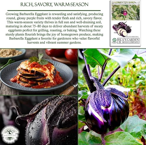 Miniatura 4 de Semillas de berenjena Barbarella para plantar, más de 20 semillas por paquete, semillas de jardín de Isla (semillas de jardín de Isla), semillas sin