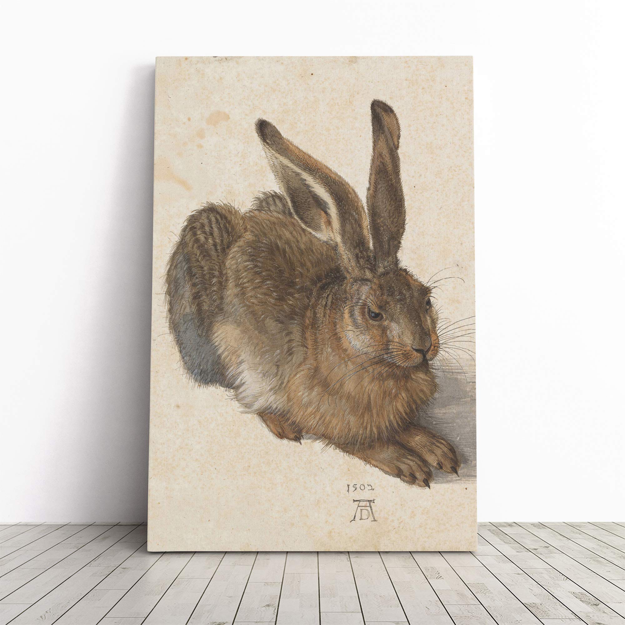 Albrecht Durer The Hare Canvas Print | Gallery Wrapped 30mm Frame Wall Art | 24x16 inches | Ready to Hang | Modern Animals Picture | Living Room Bedroom Lounge Office