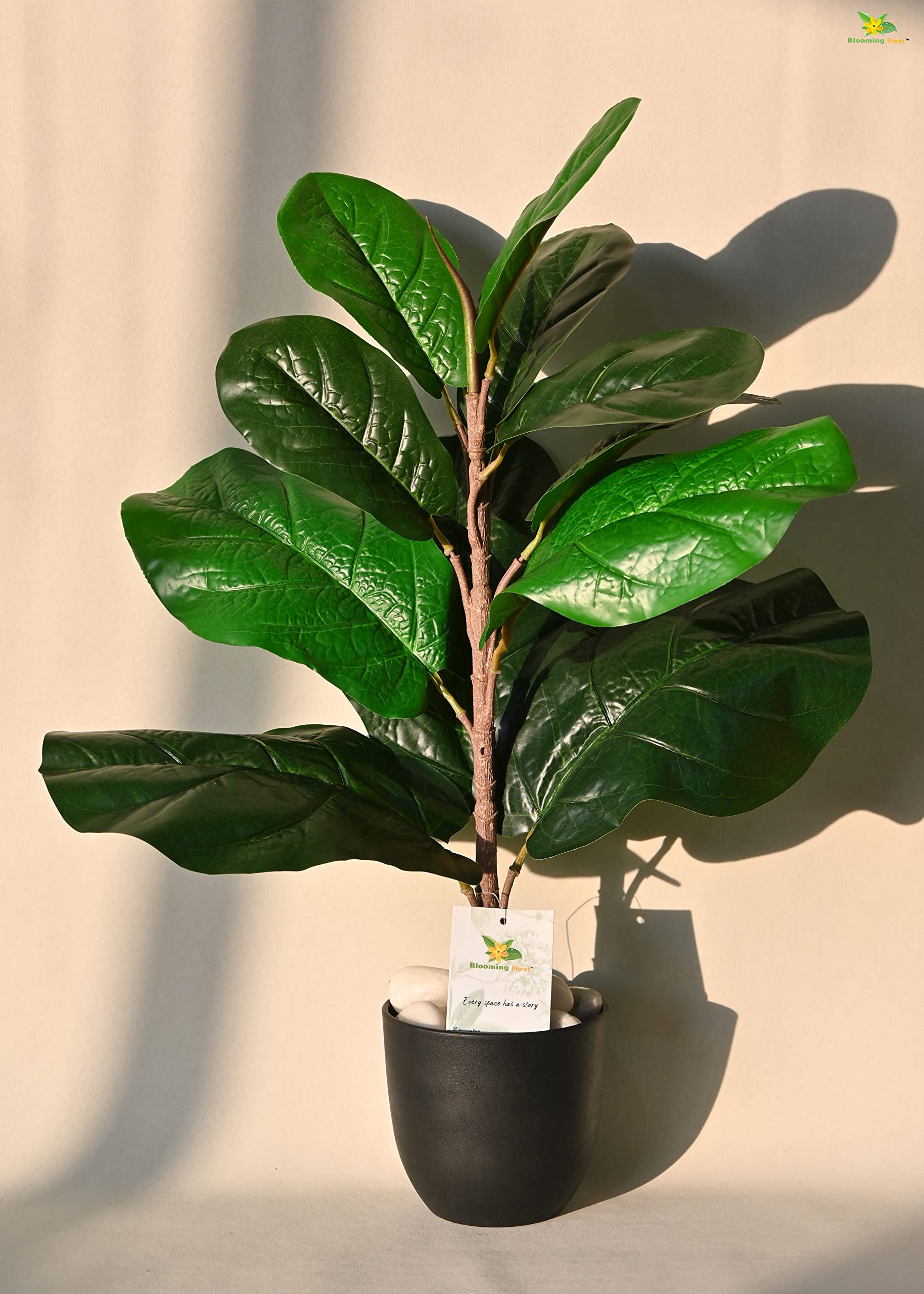 Blooming Floret Artificial Dieffenbachia Plant with Basic Black Pot | Ornamental Plant for Interior Decor/Home Decor/Office Decor | 11 Leaves | 58.4 cm Short Indoor Tropical Plant | Durable (B0BS9PZS68) Amazon Price History, Amazon Price Tracker