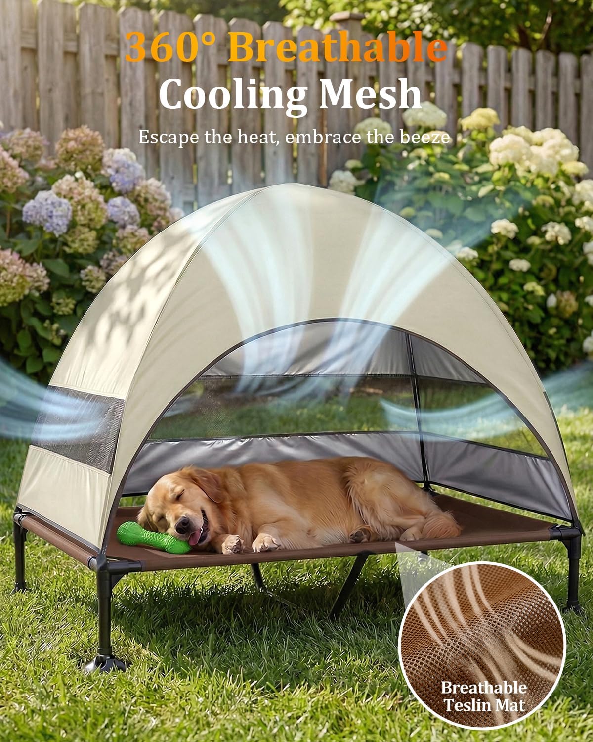 Elevated Dog Bed (Khaki, X-Large)