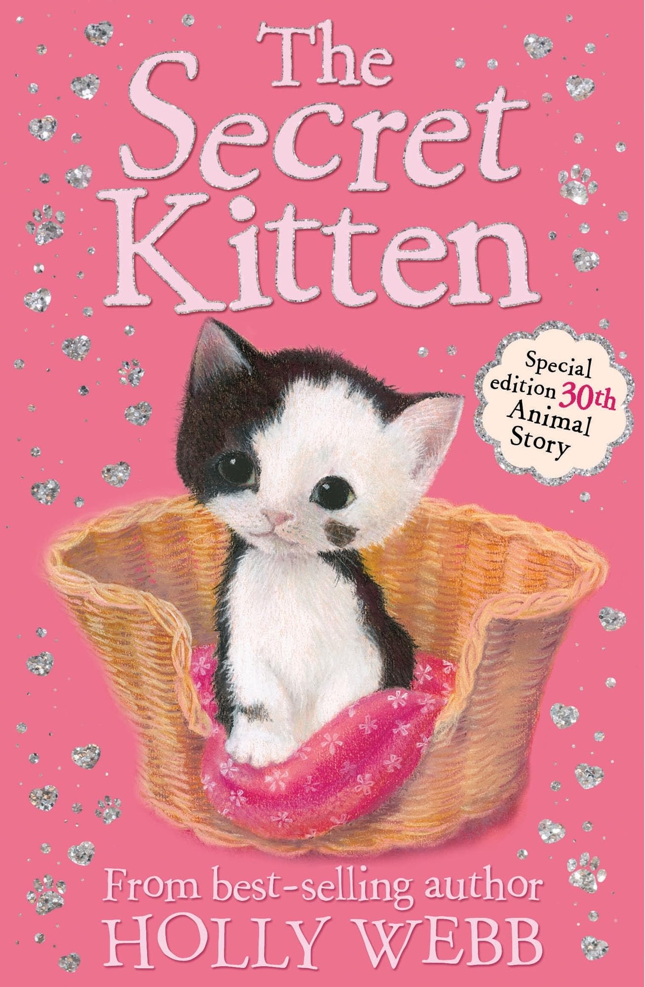 The Secret Kitten: 30 (Holly Webb Animal Stories, 30)