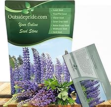 Outsidepride Wild Blue Perennial Lupine Seeds - 500 Pcs. Self-Sowing, Cold Hardy & Frost Tolerant Wildflower Seeds for Fall Planting, Ideal for Attracting Pollinators & Hummingbirds