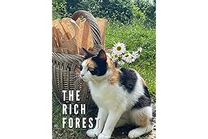 Bogota Šuma: Amazon's Abig Rainforest Sanctuary