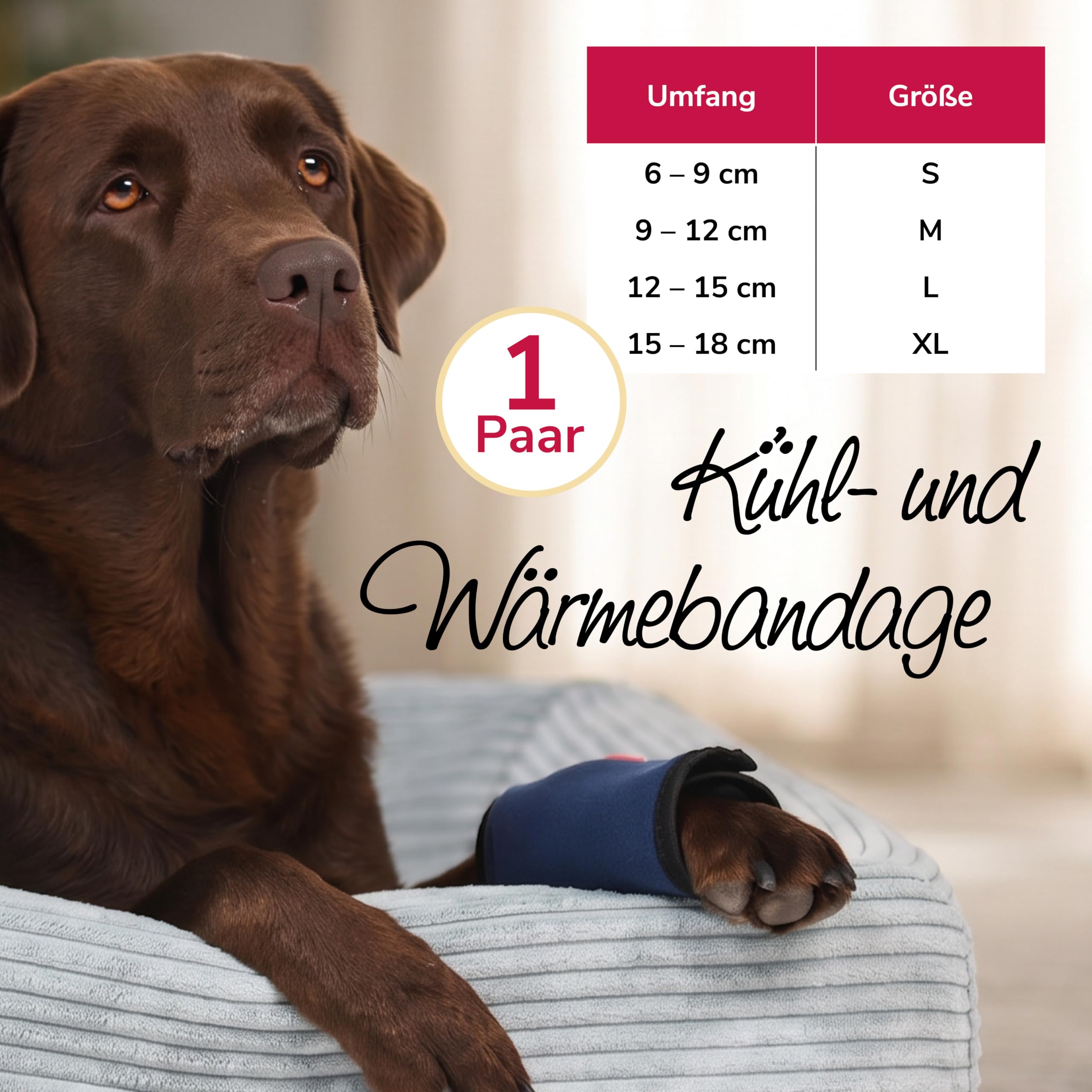 Kühl- und Wärmebandage Gr. S für Hunde & Katzen, 2in1 Therapie bei Verletzungen & Arthrose
