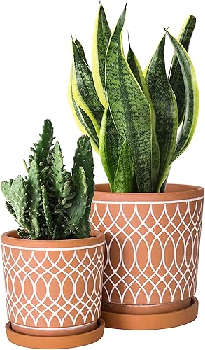 Miniatura 2 de Juego de 2 macetas de terracota, diseño de patrón de línea, 4 pulgadas y 6 pulgadas, maceta con agujero de drenaje y bandeja