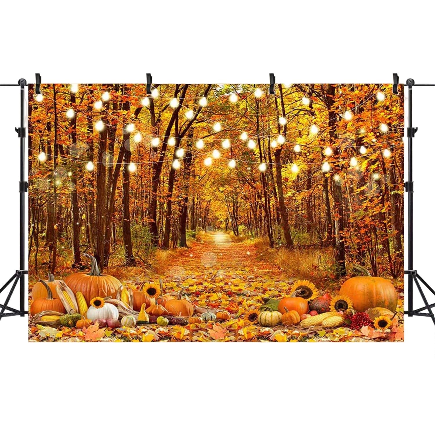 micia luxuryバック紙 ハロウィン 秋 (300×200cm) 【公式通販】