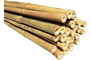 Natural 6 Feet Eco-Friendly Bamboo Plant Stakes (25-Count)