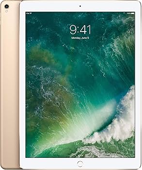 Amazon.com : Apple iPad Pro 2 12.9 Tablet 256GB Storage, WiFi