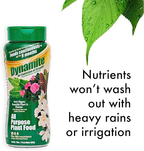 Miniatura 5 de Dynamite 605951 Alimento multiusos para plantas de interior y exterior, 1 libra