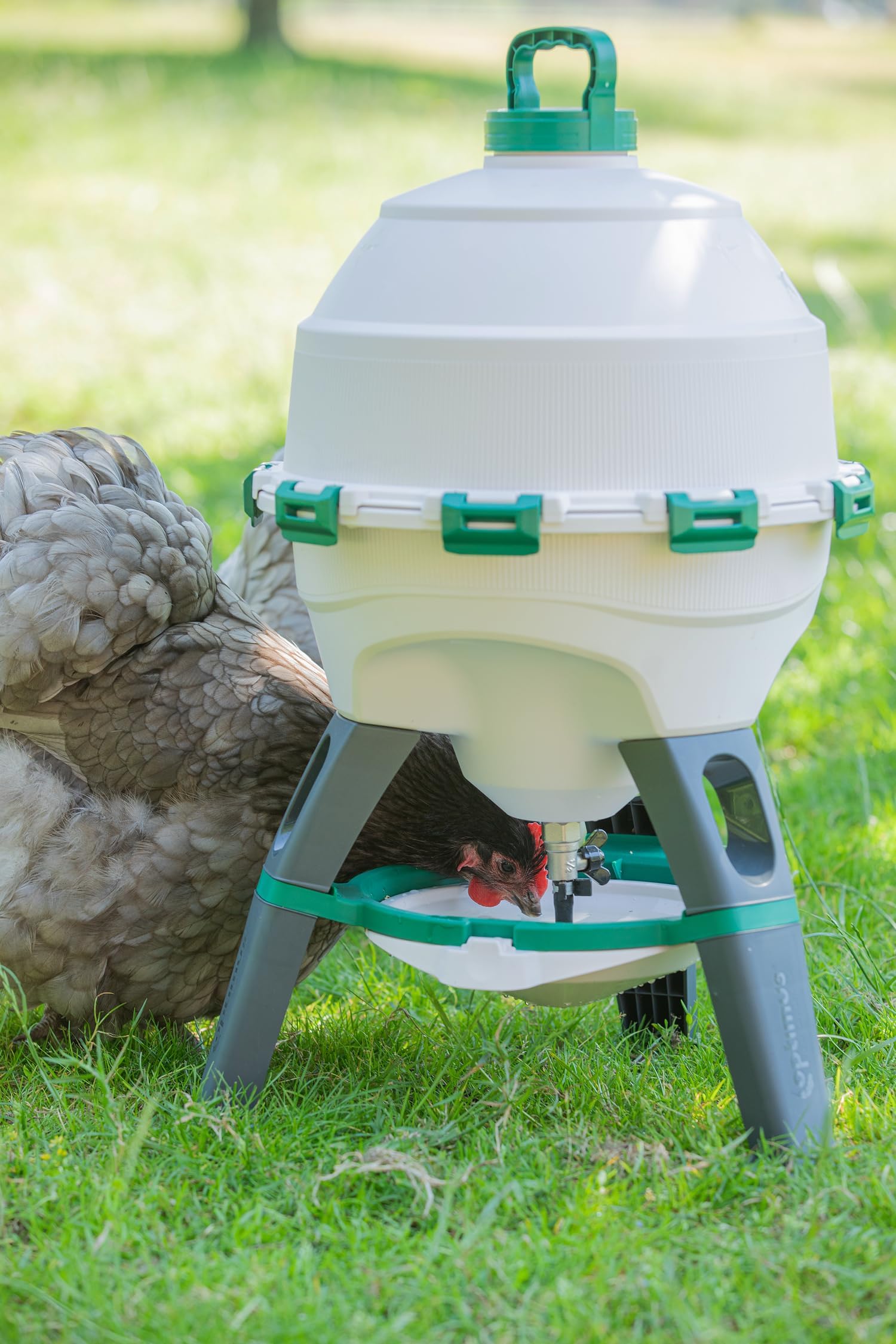 Abbeveratoio per polli Optimus 25 L per fino a 25 polli, con ciotola di ricambio, serbatoio dell'acqua in due pezzi, abbeveratoio per pollame, abbeveratoio automatico per polli - distributore di acqua