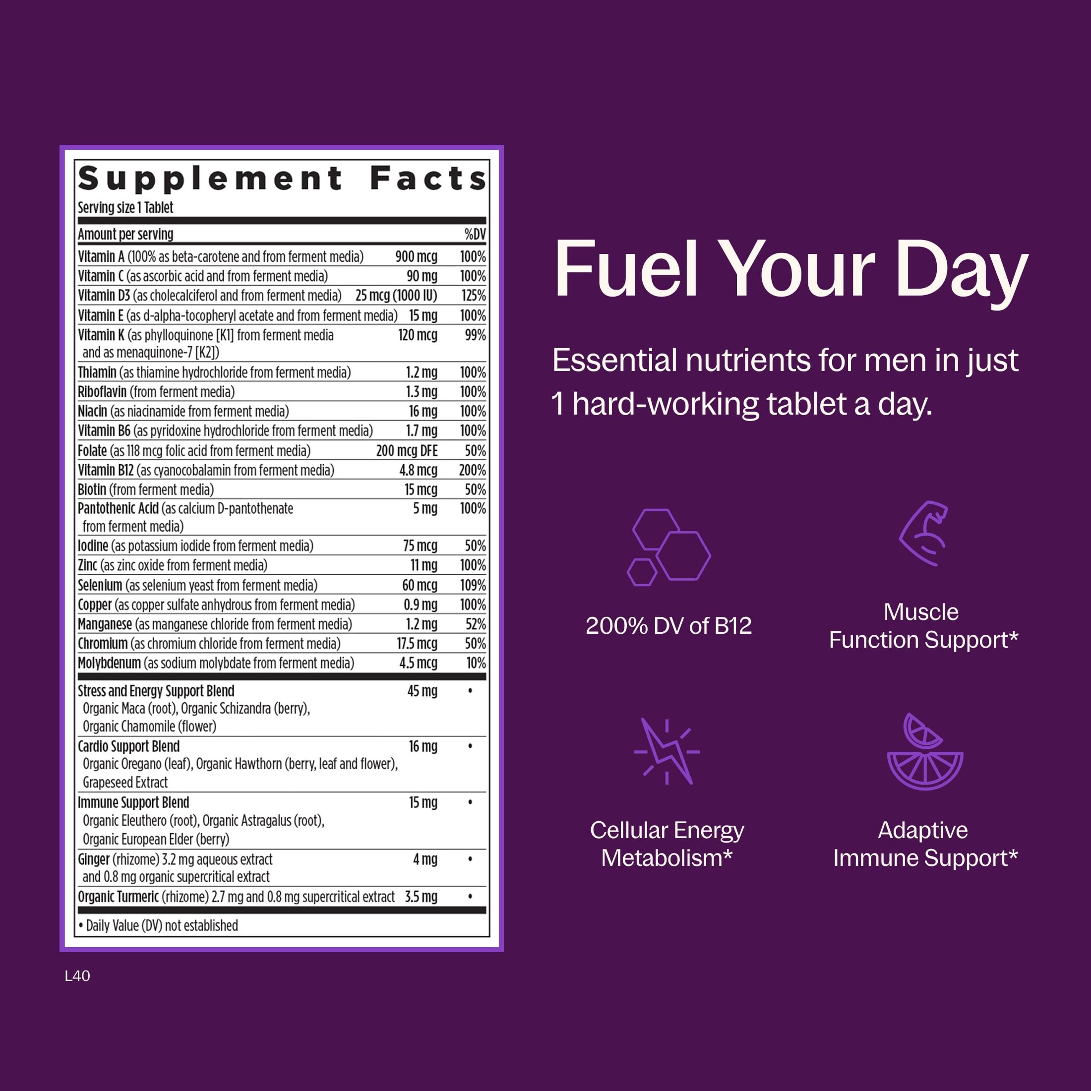 New Chapter Every Man's One Daily Multivitamin 18+, 72 Tablets — Amazon image 3