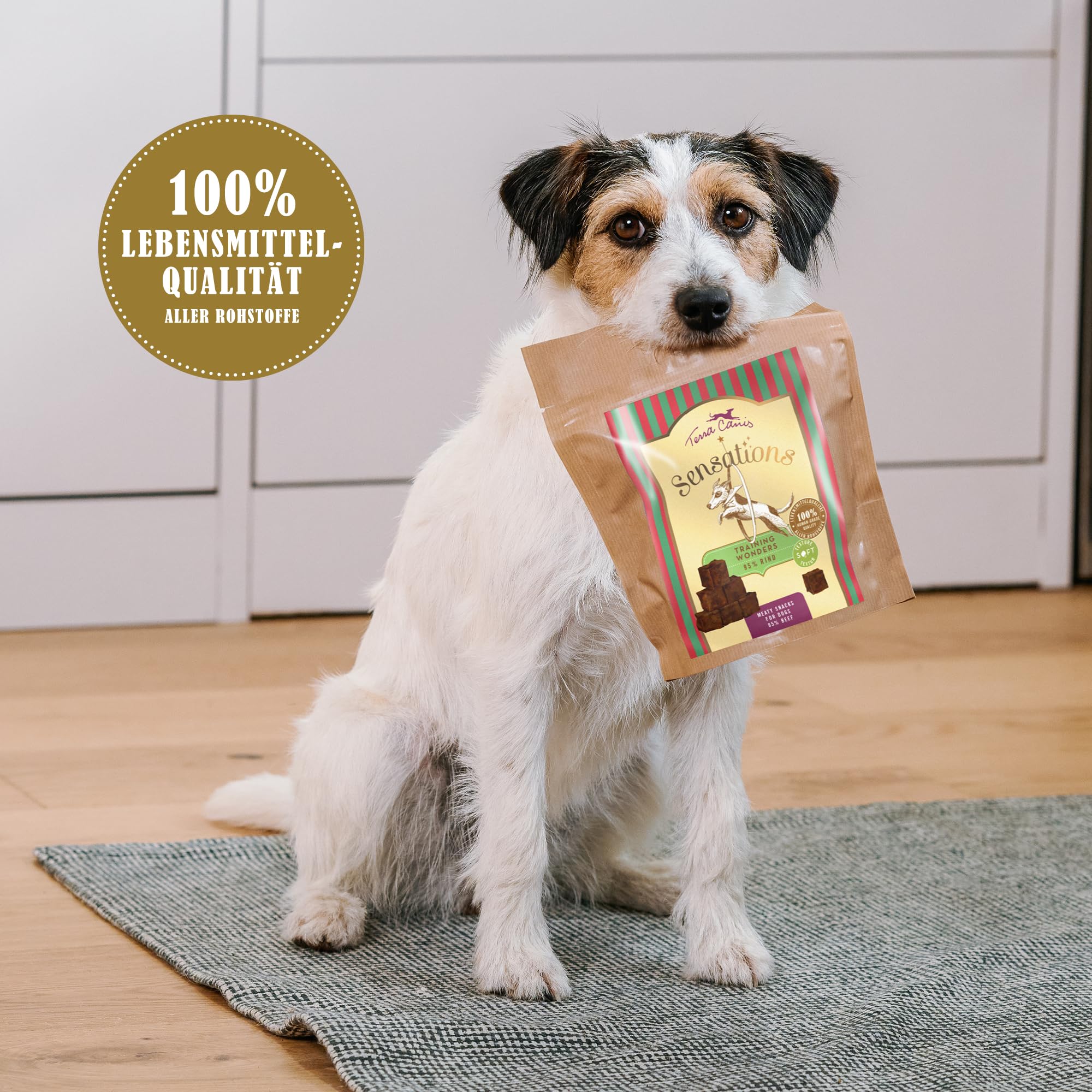 Terra Canis Hundefutter Rind & Wild - 6x400g, Getreidefrei