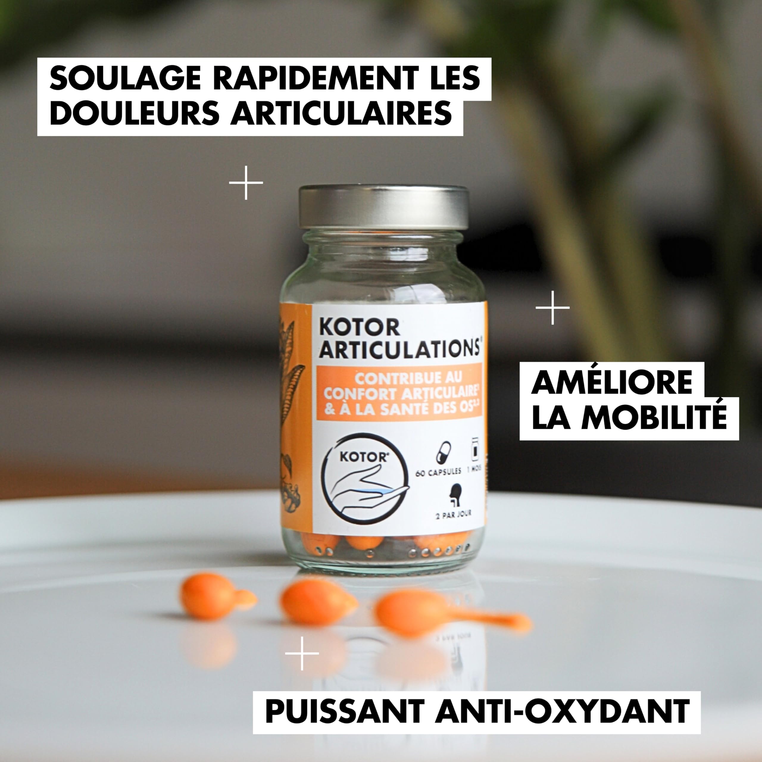 KOTOR ARTICULATIONS | Soulage les Douleurs Articulaires | Santé des Cartilages | Curcuma + Gingembre + Omega 3 + Vitamines C & E + Manganèse | 60 Capsules | 1 Mois | Produit en France