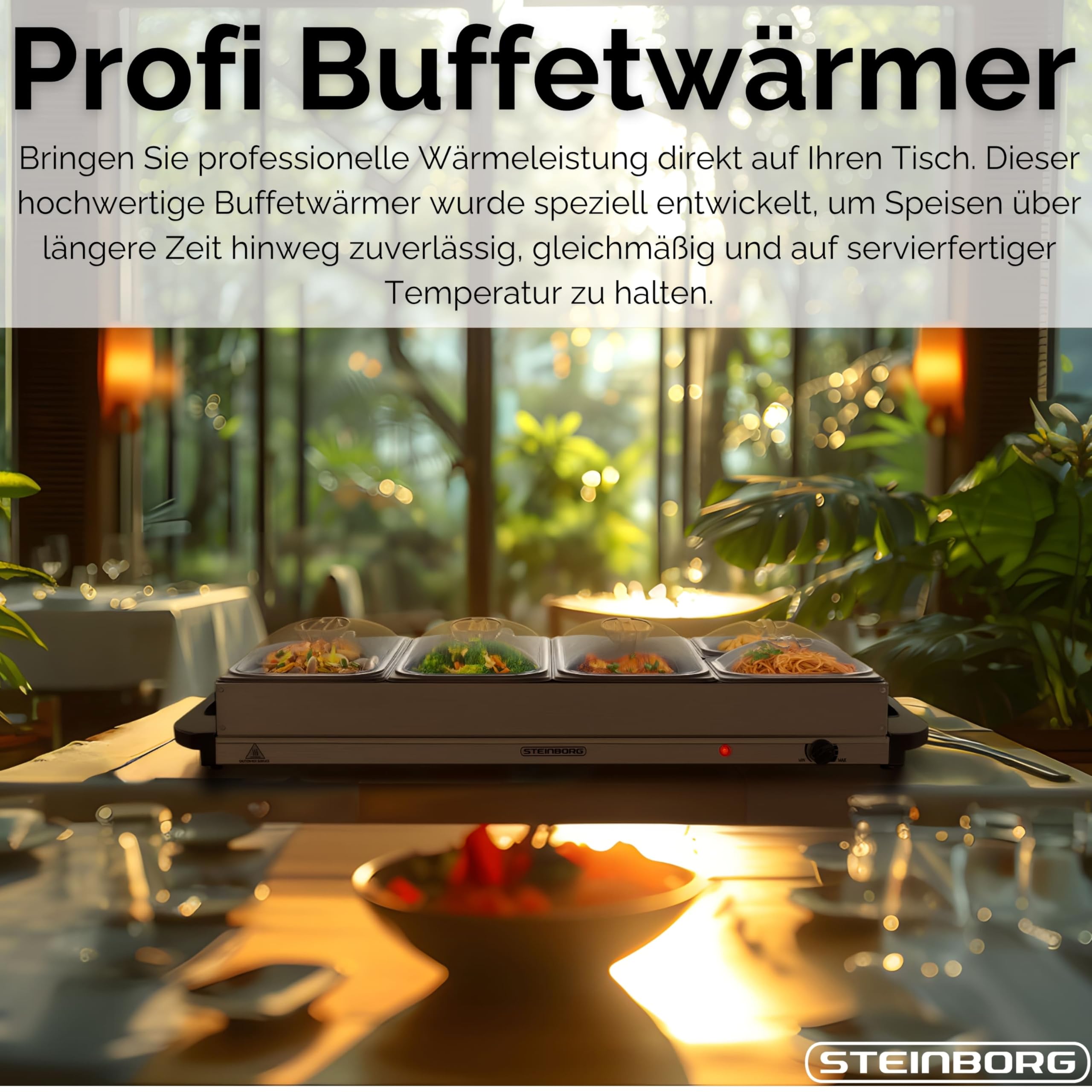 Steinborg Buffetwärmer XXL elektrische Warmhalteplatte 450 Watt 5 Speisebehälter 10 Liter