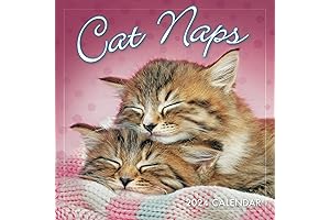 Cat Naps 2024 Mini Calendar, 7" x 7"