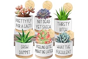 Succulent Pots, 6-Piece Creative Ceramic Planters