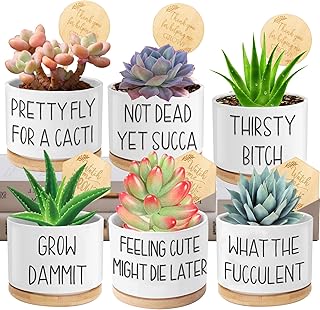 6pcs Funny Succulent Plant Pots, 3.15'' Ceramic Small Succulent Planters...