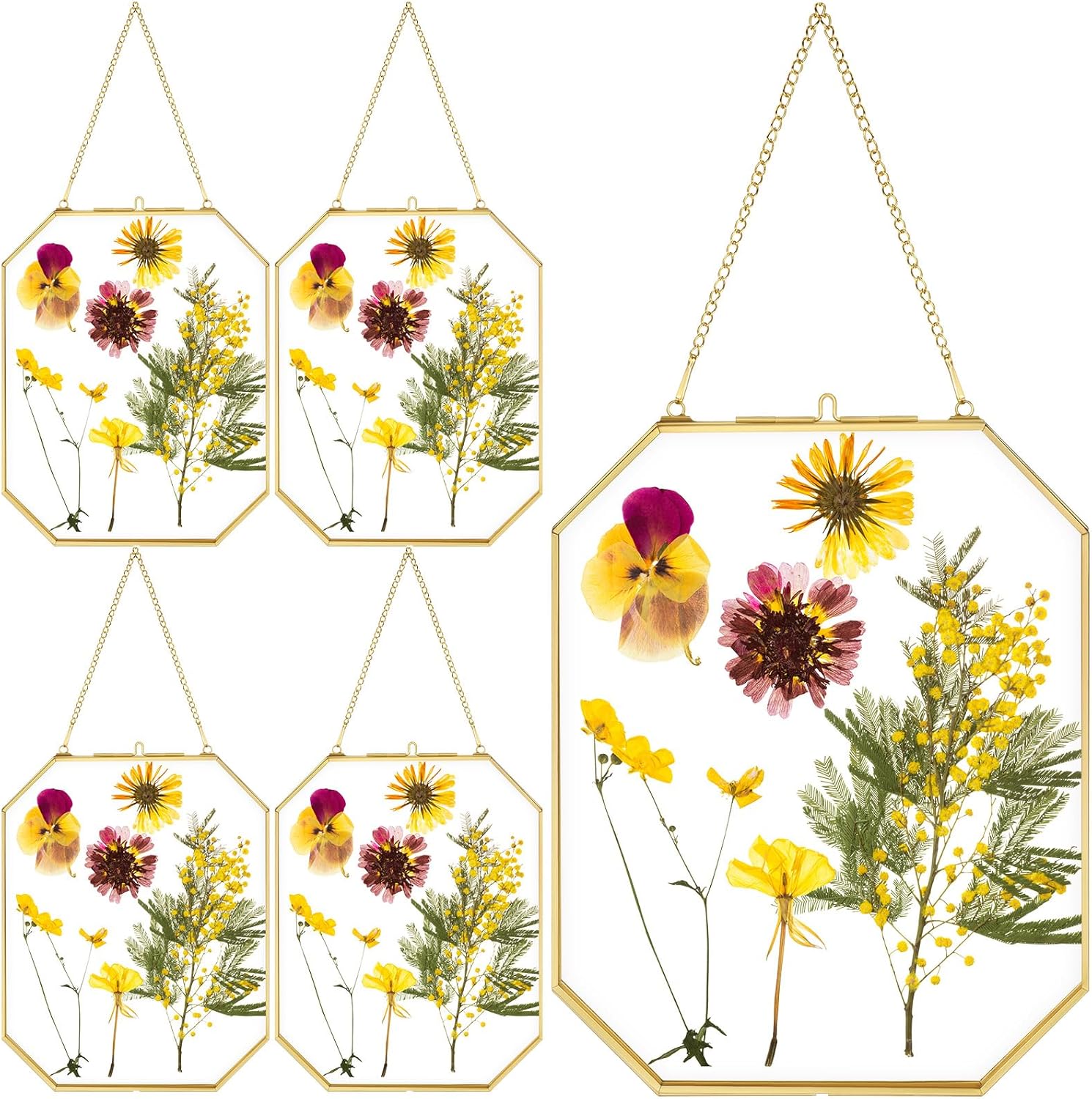 Vicenpal 5 Pcs 5 x 7 Inches Glass Pressed Flower Frame, Hanging Floating Picture Frame for Tabletop Artwork Dried Flower Display with Metal Chain for Mom Friends Wedding Gift DIY Craft(Coppery)