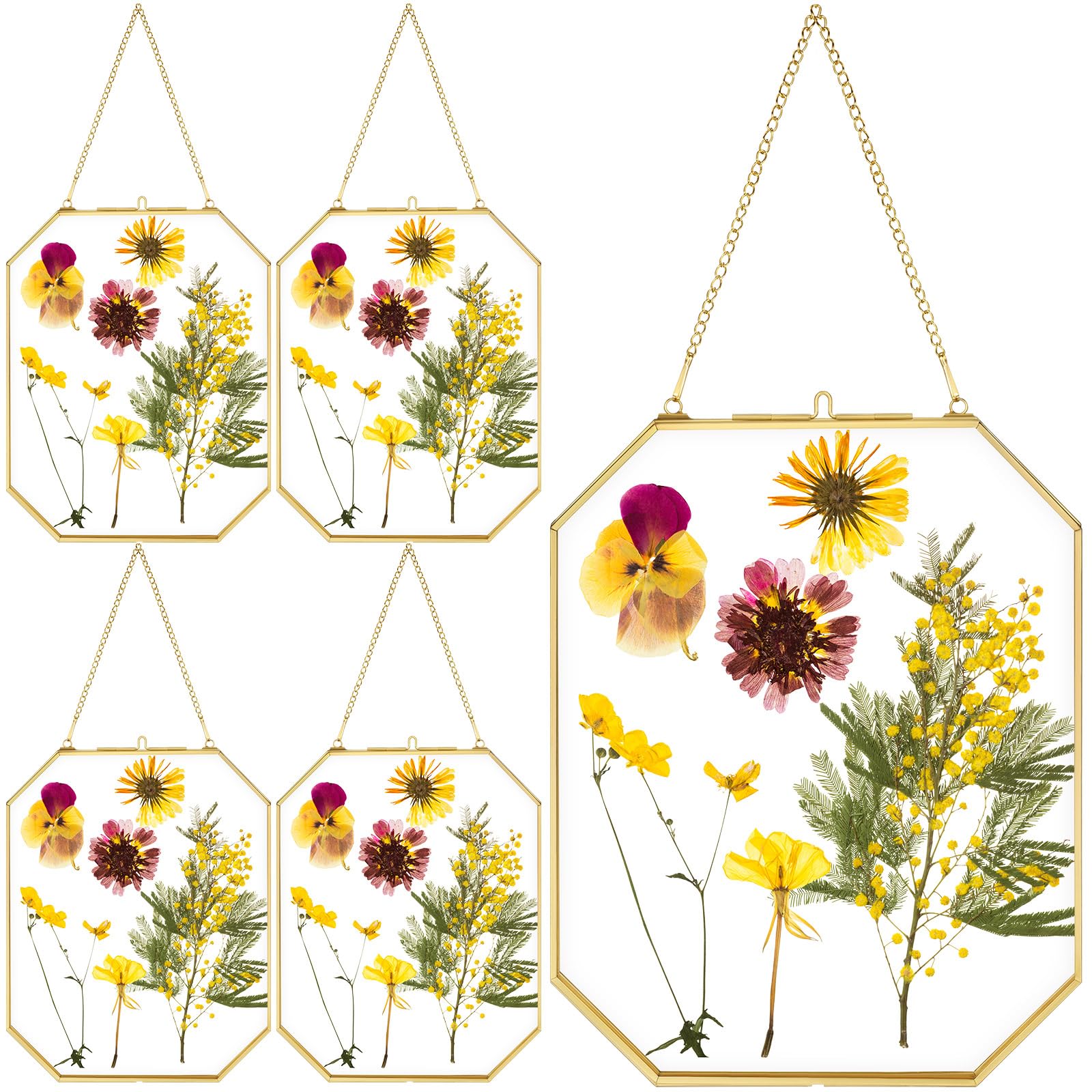 Vicenpal 5 cornici in vetro pressato per fiori, da appendere, per opere d'arte da tavolo, piante secche, con catena in metallo, per mamma, amica, regalo di nozze, fai da te (20 x 25 cm, ramato)
