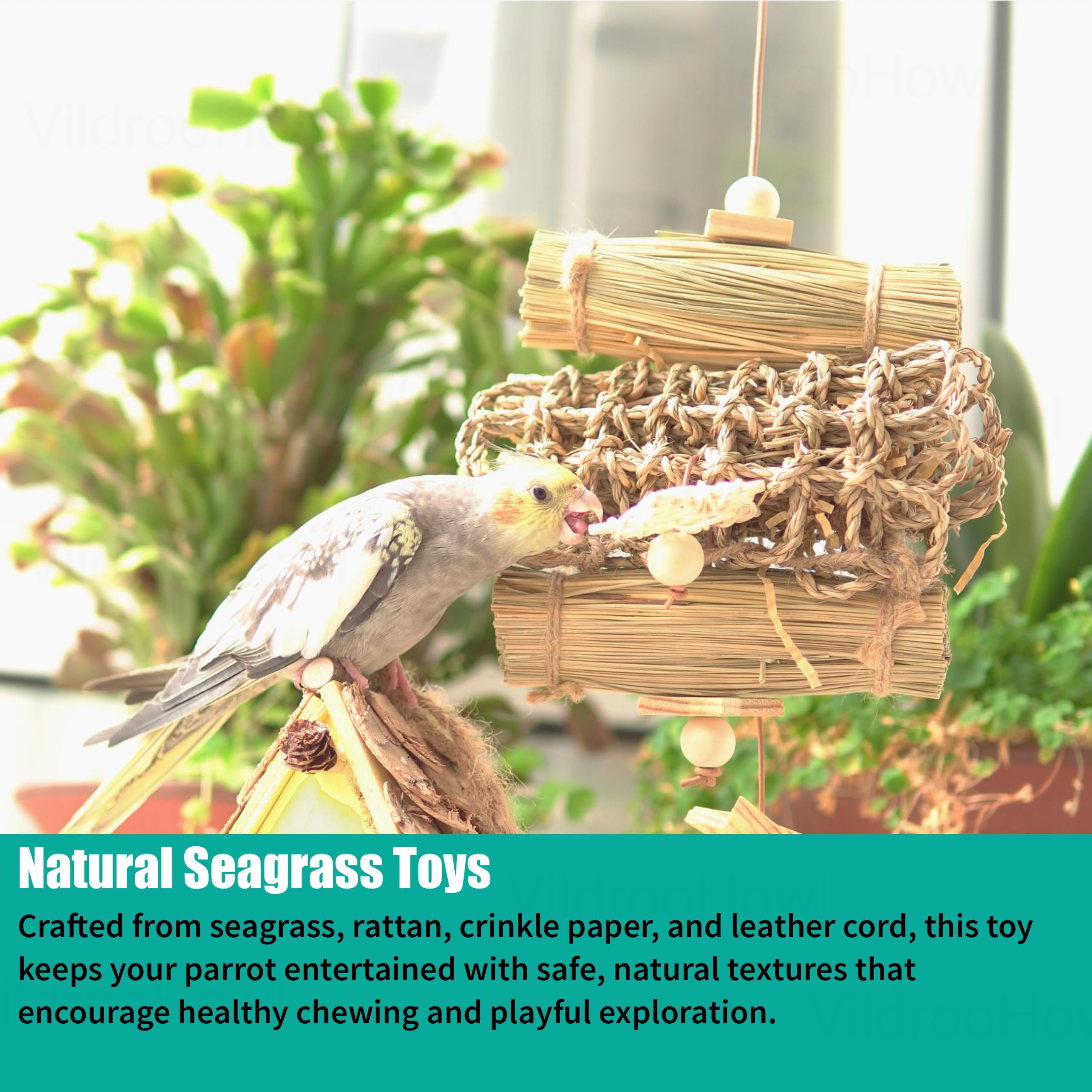 6 Pcs Natural Bird Toys for Parrots - Seagrass Swing, Loofah, Wood & Corn Husk Chew Toy Set - Shredding Enrichment Kit for Small to Medium Cockatiels, Parakeets, Conures, Budgies - image 6