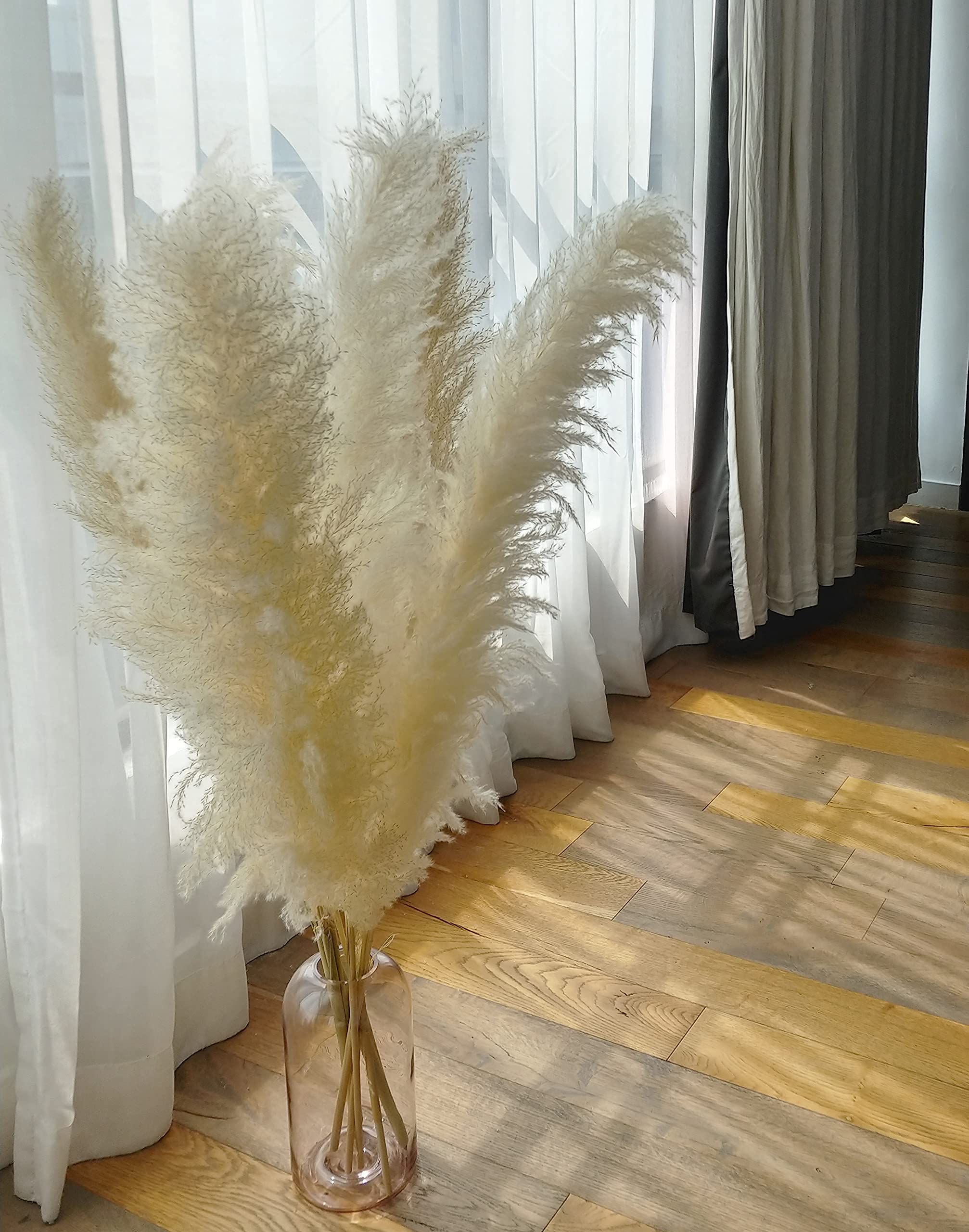 Large 4 Stems Ivory White Pampas Grass White Tall Pampas Grass Plants