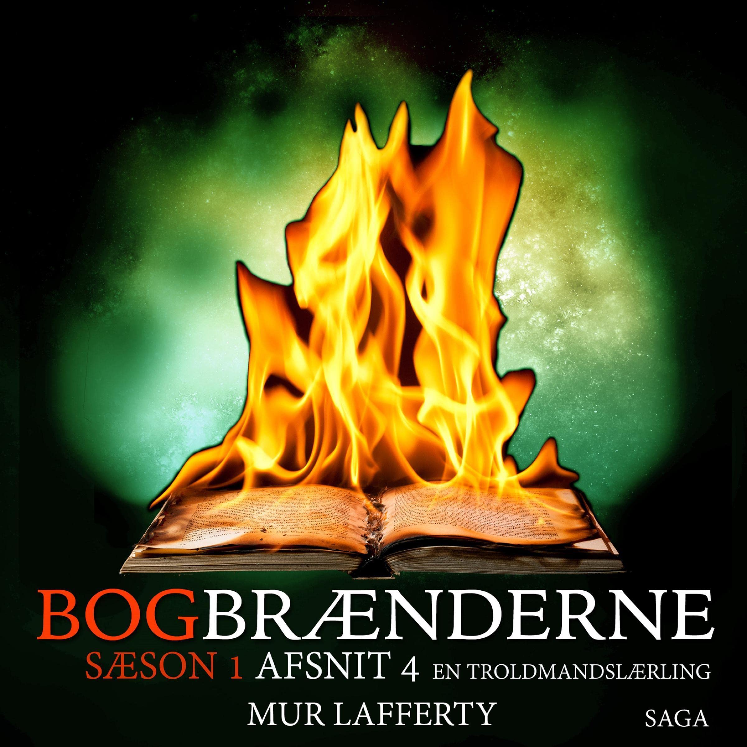 Bogbrænderne: En troldmandslærling 4