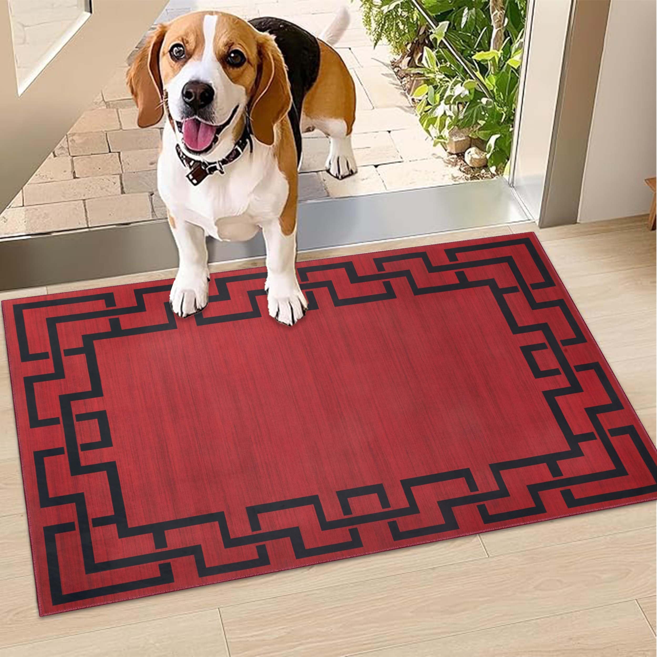 Hafaa Door Mat Indoor & Outdoor - Non Slip Heavy Duty Doormats - Stylish & Printed Mat - Perfect Dust Grabbing Shoes Scrapper Door Mats (Lexi Red, 60cm x 110cm)