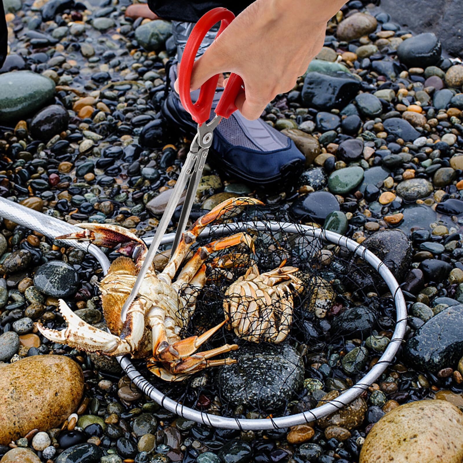 Pince à Crabe Longue en Acier Inoxydable, Portable et Légère