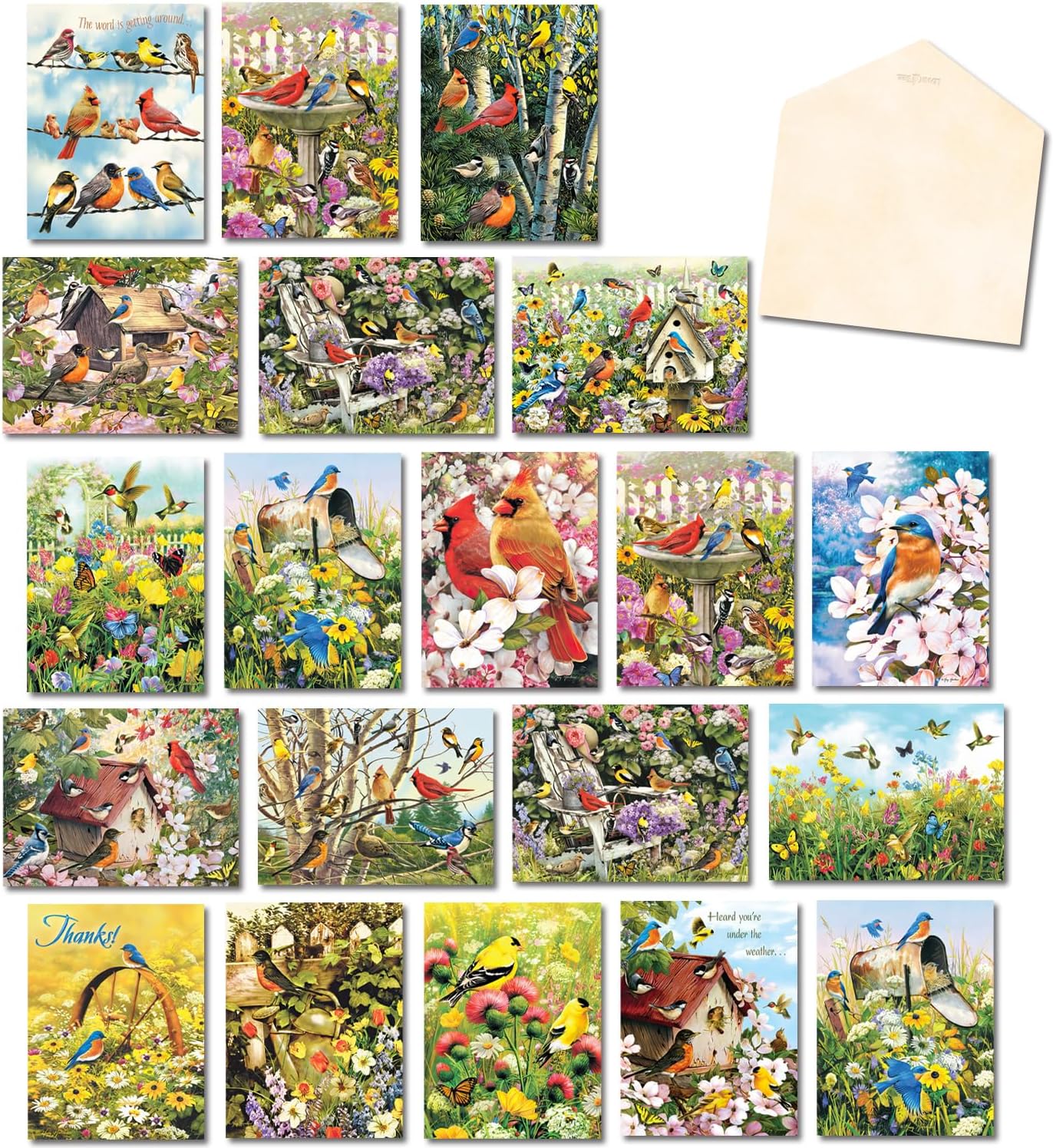 Leanin' Tree, Wings and Wishes, Greeting Cards Assortment