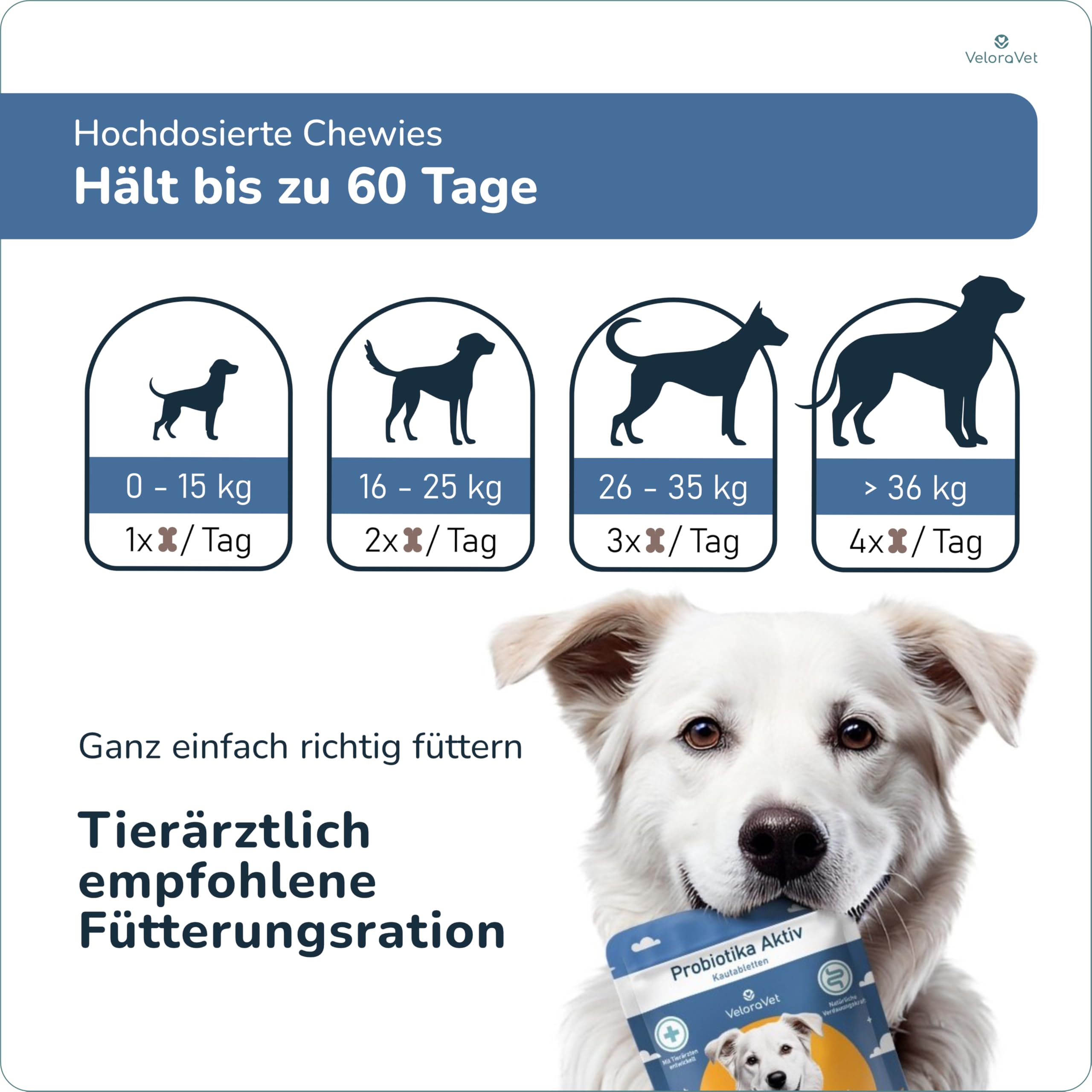 Probiotika Hund – Magen Darmsanierung & Darmkur für Hunde-Darmflora, Präbiotika, Flohsamenschalen & Heilerde, Tierärztlich empfohlen bei Durchfall, Sodbrennen – 70 Probiotika Tabletten