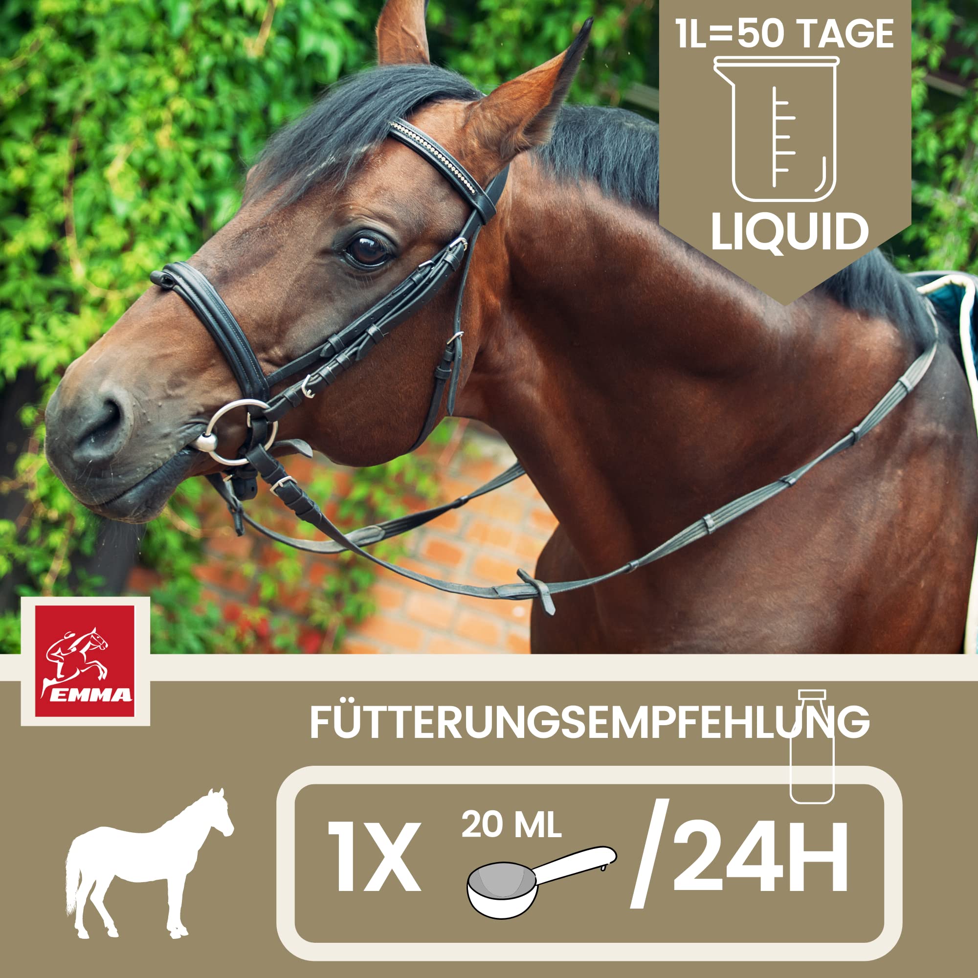 Complejo vitamínico B Caballo 1L Líquido I Vitamina B Altamente dosificada con B1 B2 B6 B12 vitaminas B El Complejo vitamínico B favorece la Musculatura el Sistema inmunitario metabolismo nervioso