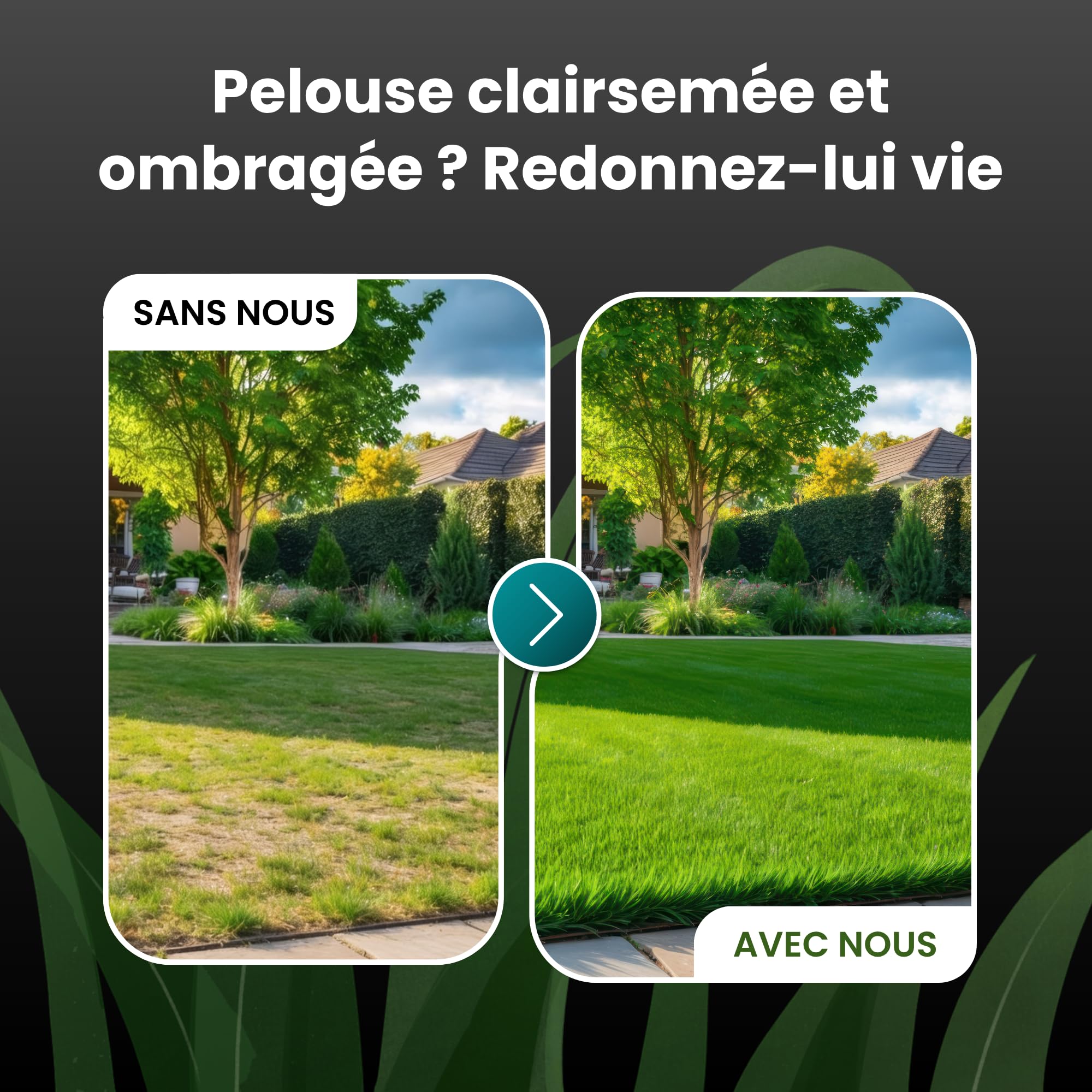 LERAVA Turbo gazon à semer pousse rapide 10m² pelouse ombre zones fraîches 98% pureté rustique vert vif semence résistante