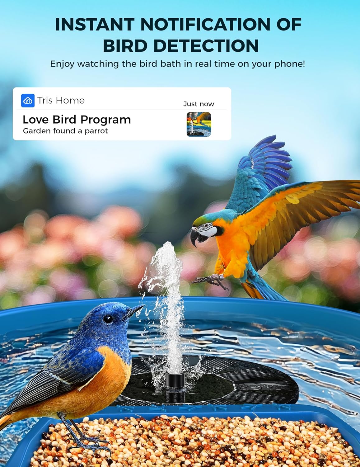 EAST OAK Smart Bird Feeder with Camera and Bird Bath 2-in-1, 160°Wide View 2K Ultra HD Live Camera with AI Identify 11000+ Species, Auto Capture & Real-time Notifications, Ideal Gift for Lover, Parent - Image 2