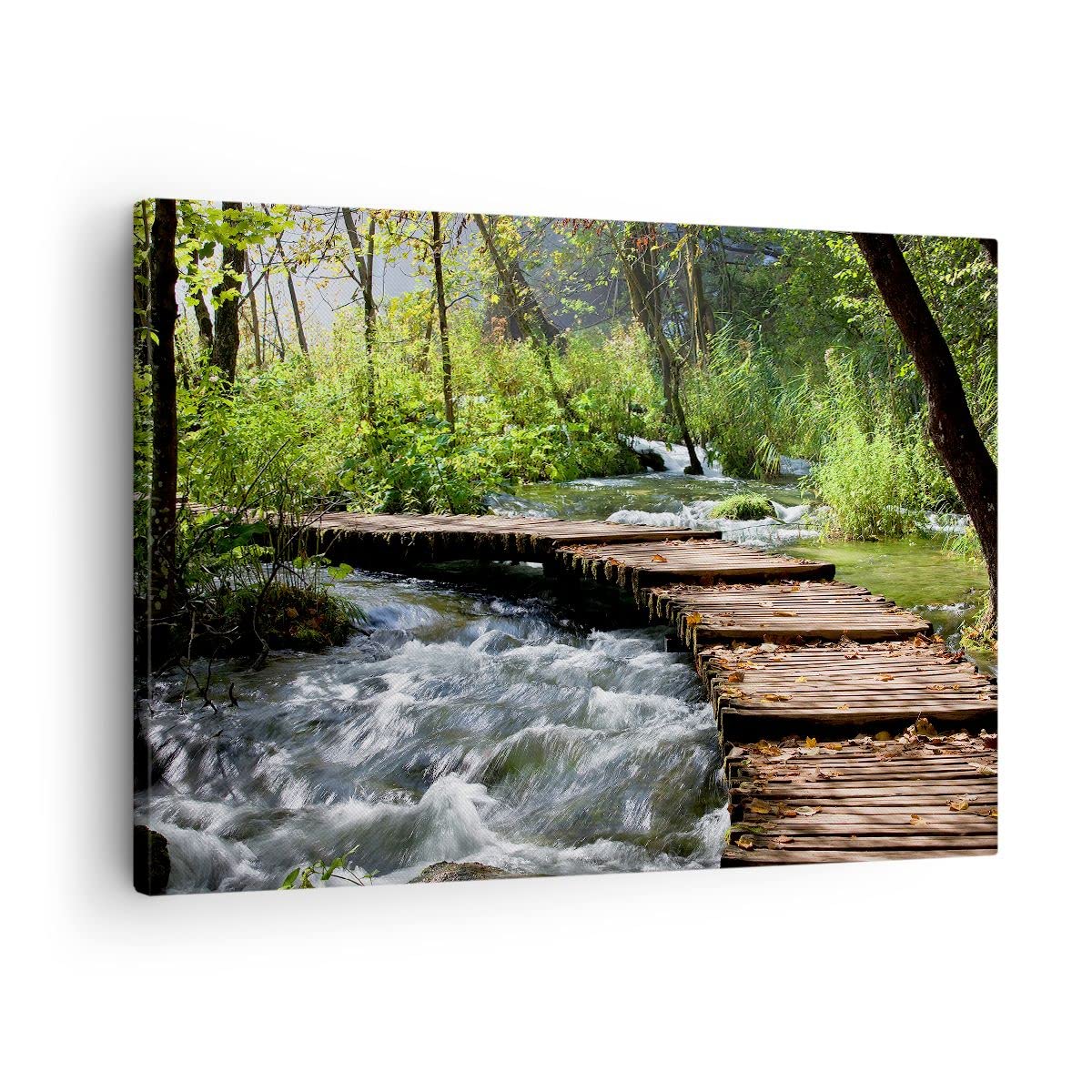 ARTTOR Tableau sur Toile Décoratif 70x50 cm Paysages Forêt - 0356 | Parc Nature Arbres Impression sur Toile Décoration Murale Art Mural Toile Imprimée Salon Chambre Cuisine ARTTOR