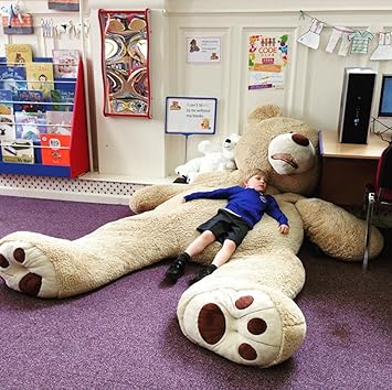 baby poodles for adoption