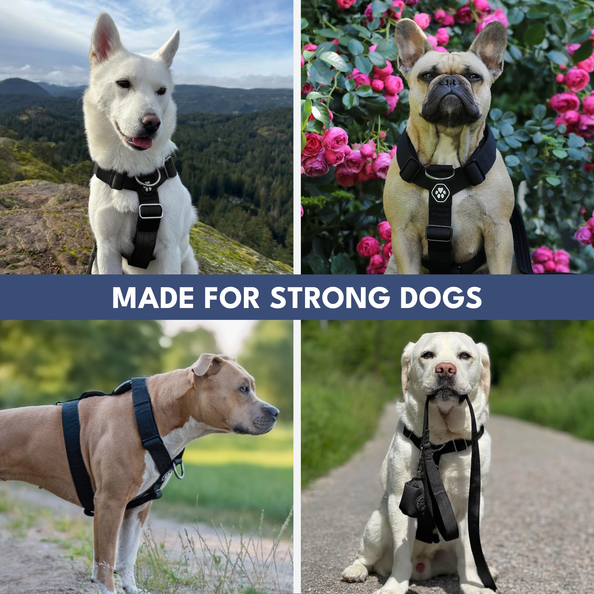 Spark Paws Harnais pour chien sans traction pour chiens de grande taille, harnais pour chien très résistant pour grandes races fortes, réglable, design de halter en forme de Y rembourré avec clip