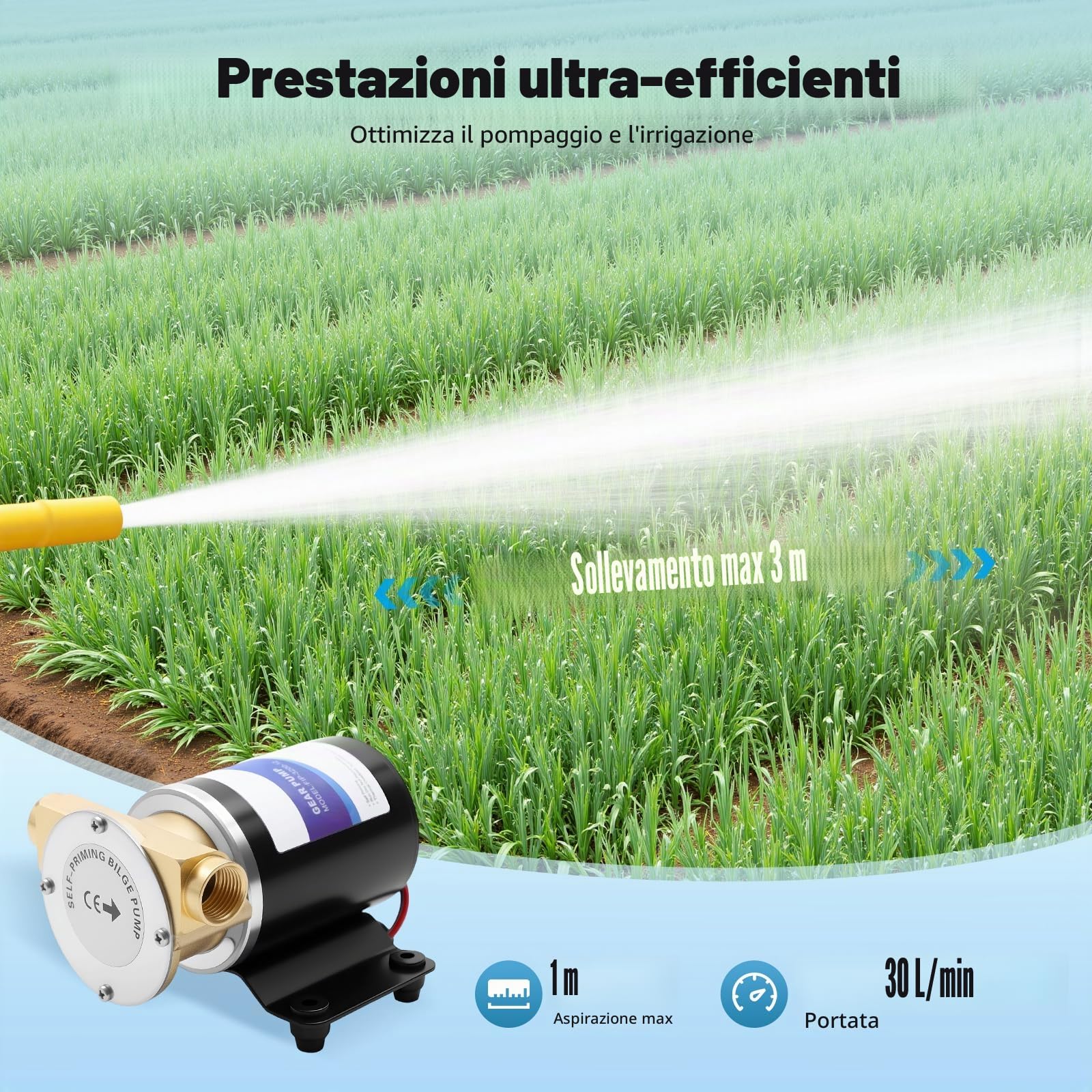 Pompa di Sentina Autoadescante 23 L/30 L/min - Pompa Dell'Acqua di Pressione Calda e Fredda, di Copertura e di Aumento Della Pressione