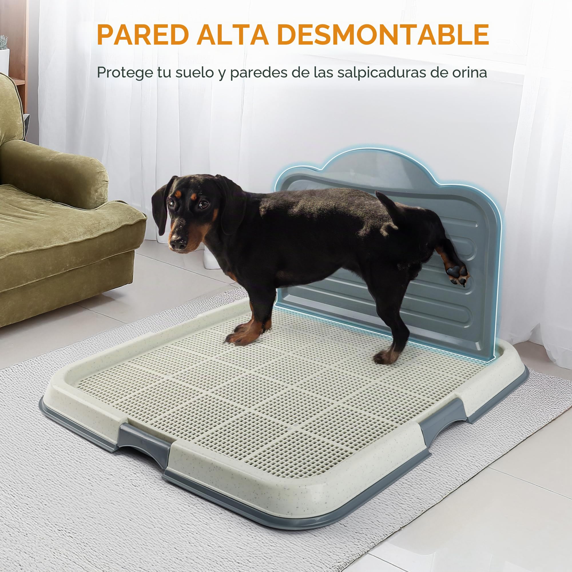 Pawise - Soporte para almohadilla de orina con pared, bandeja para almohadillas de entrenamiento, bandeja de entrenamiento de malla para una fácil limpieza, 60 cm x 60 cm + almohadilla para orina (4